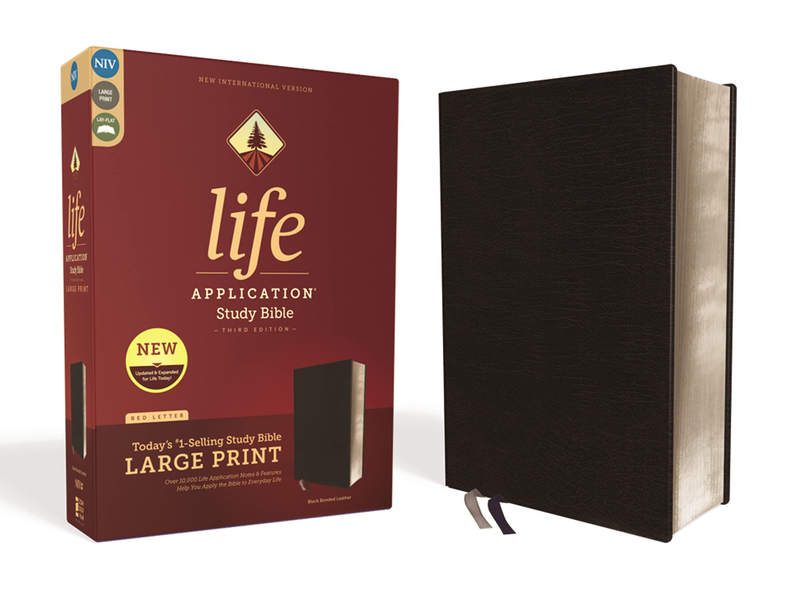 NIV, Life Application Study Bible, Third Edition, Large Print, Bonded Leather, Black, Red Letter Film, Art & Culture