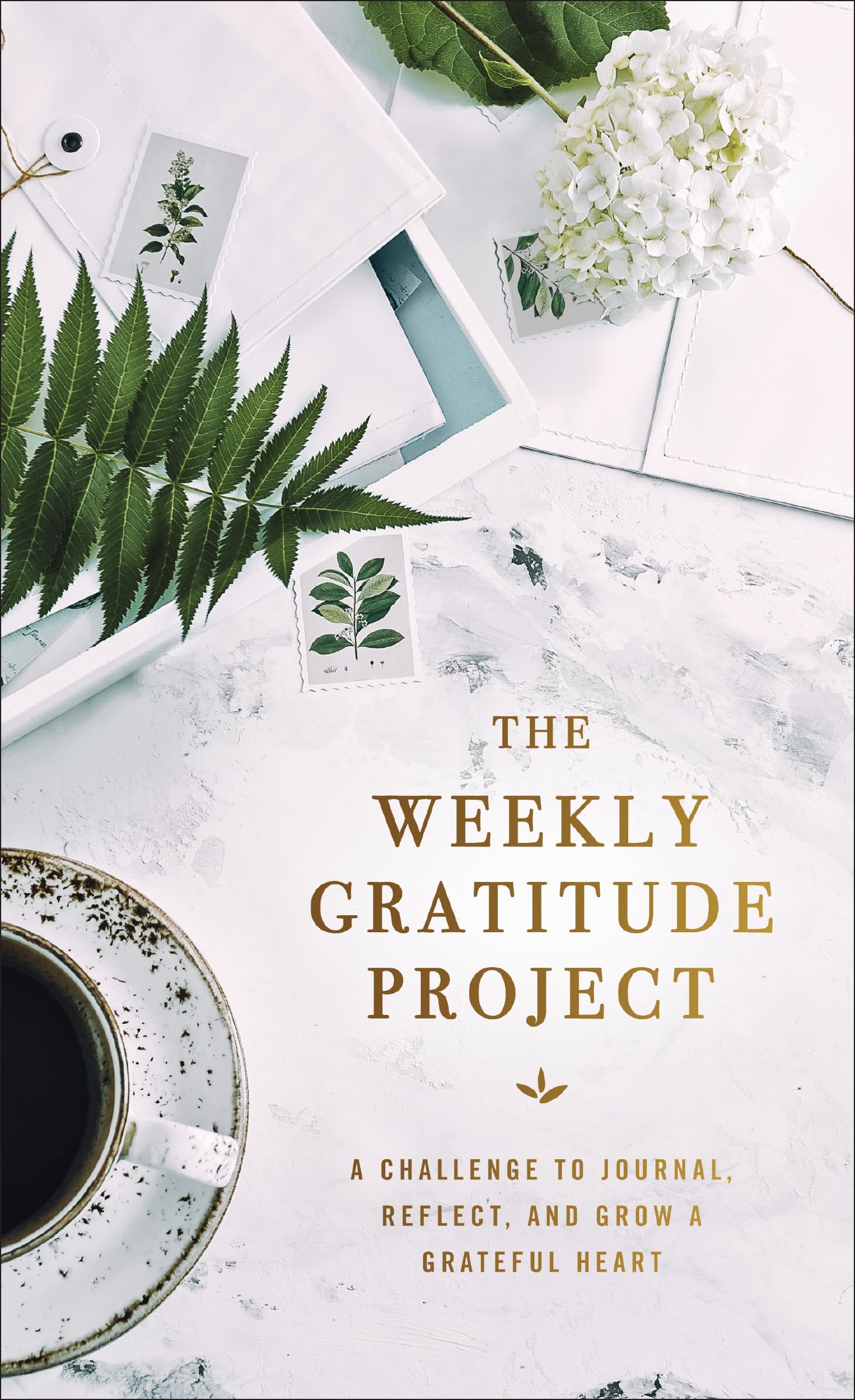 The Weekly Gratitude Project: A Challenge to Journal, Reflect, and Grow a Grateful Heart (A 52-Week Guided Devotional Journal) book