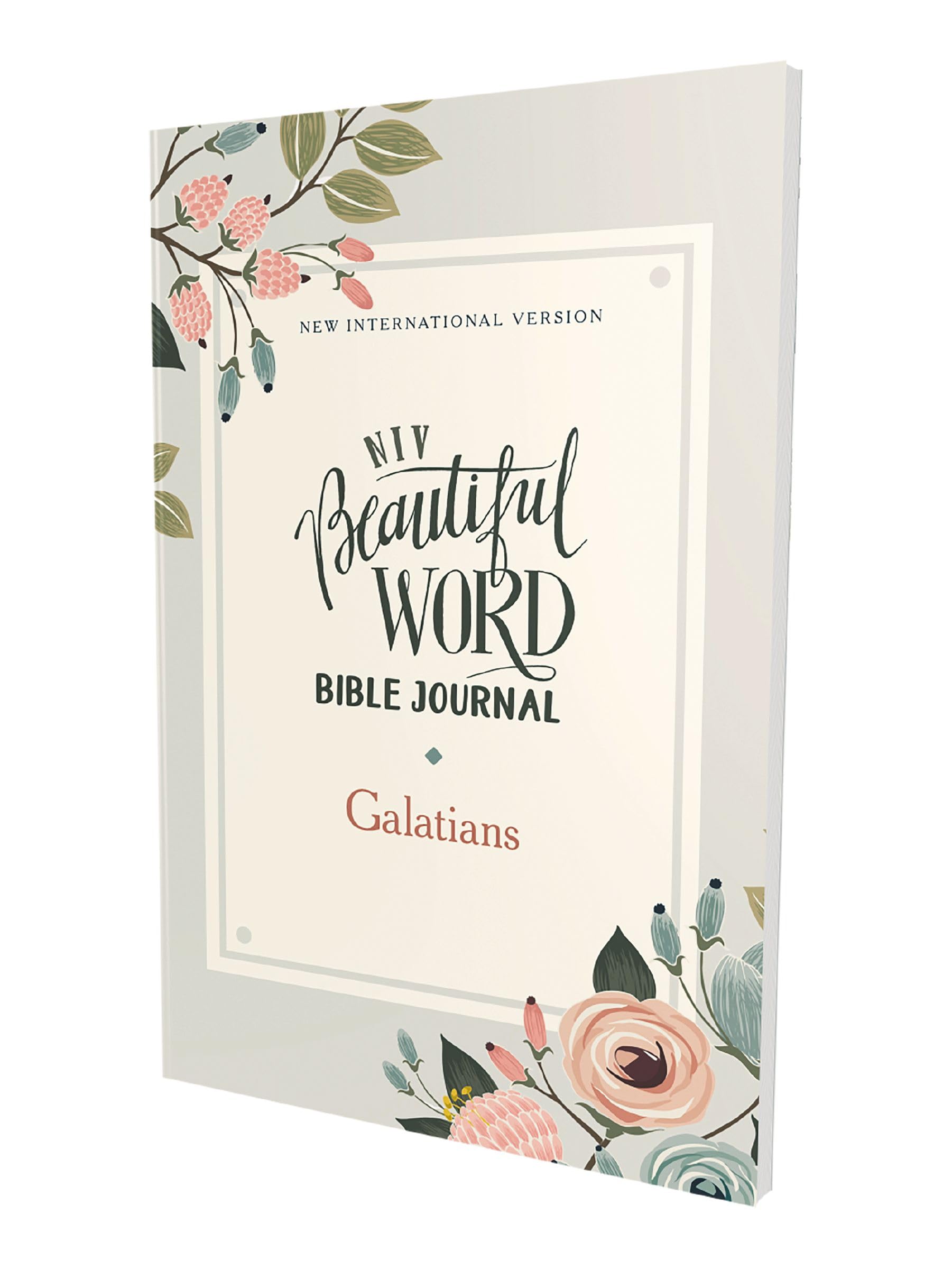 NIV, Beautiful Word Bible Journal, Galatians, Paperback, Comfort Print Film, Art & Culture