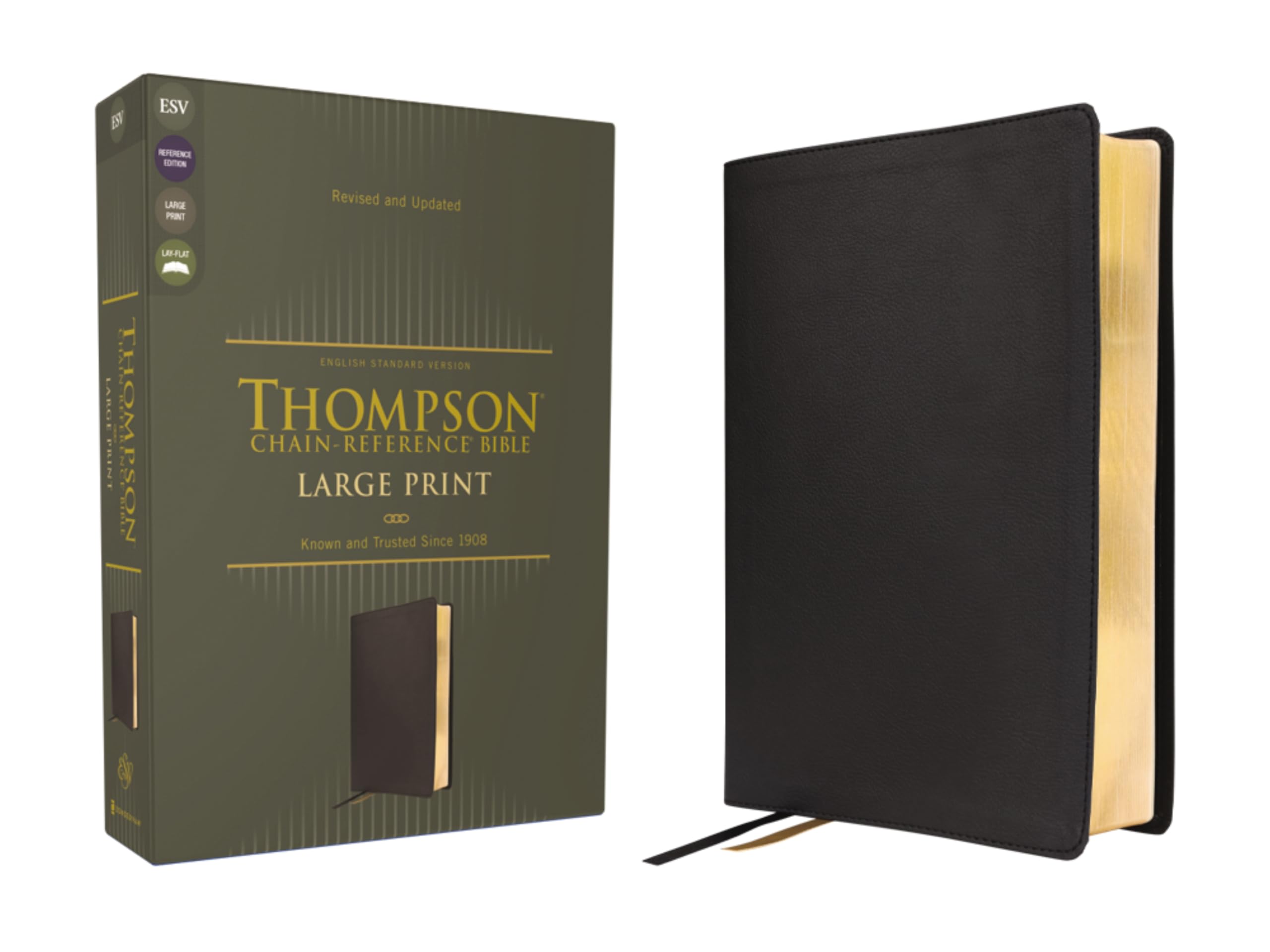 ESV, Thompson Chain-Reference Bible, Large Print, Leathersoft, Black, Red Letter: English Standard Version, Black, Leathersoft, Thompson Chain-reference, Red Letter Religion & Esotericism