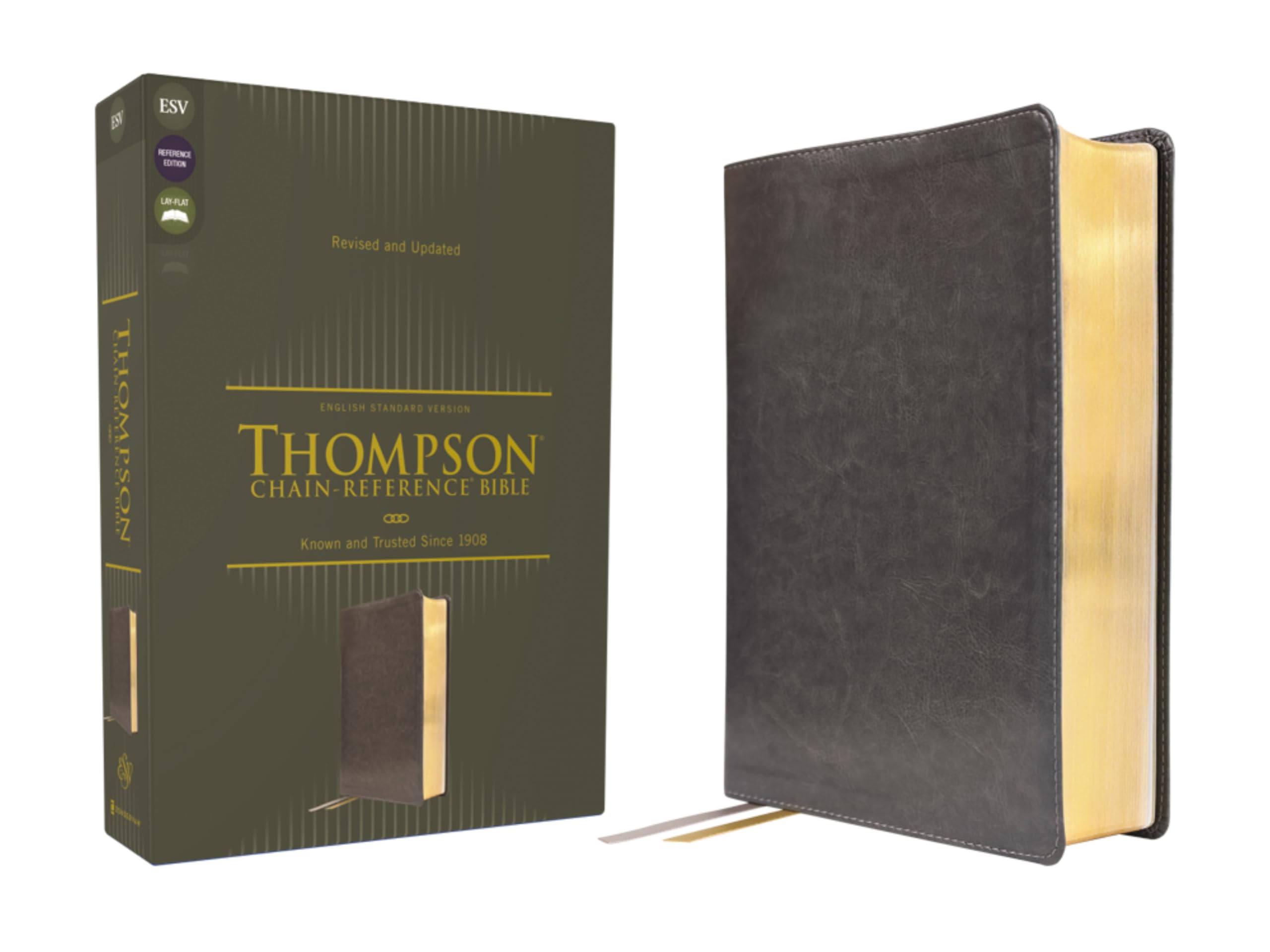 ESV, Thompson Chain-Reference Bible, Leathersoft, Gray, Red Letter: English Standard Version, Gray, Leathersoft, Thompson Chain-Reference, Red Letter Religion & Esotericism