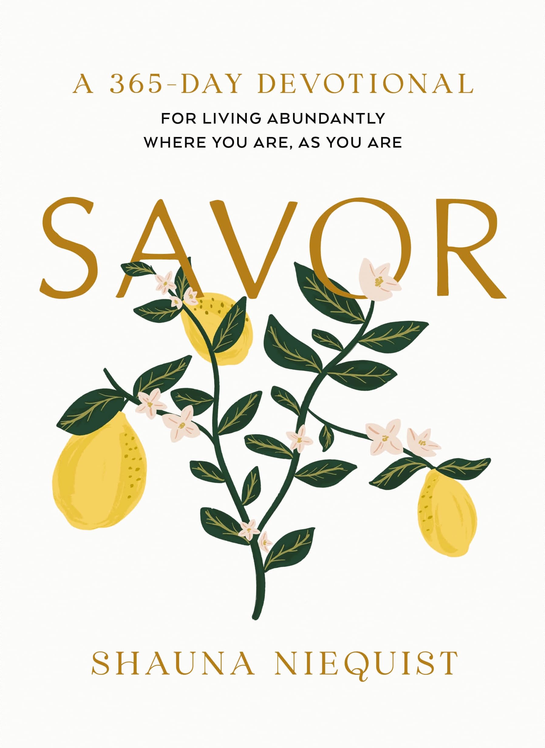Savor: Living Abundantly Where You Are, As You Are (A 365-Day Devotional, plus 21 Delicious Recipes) Business, Finance & Career