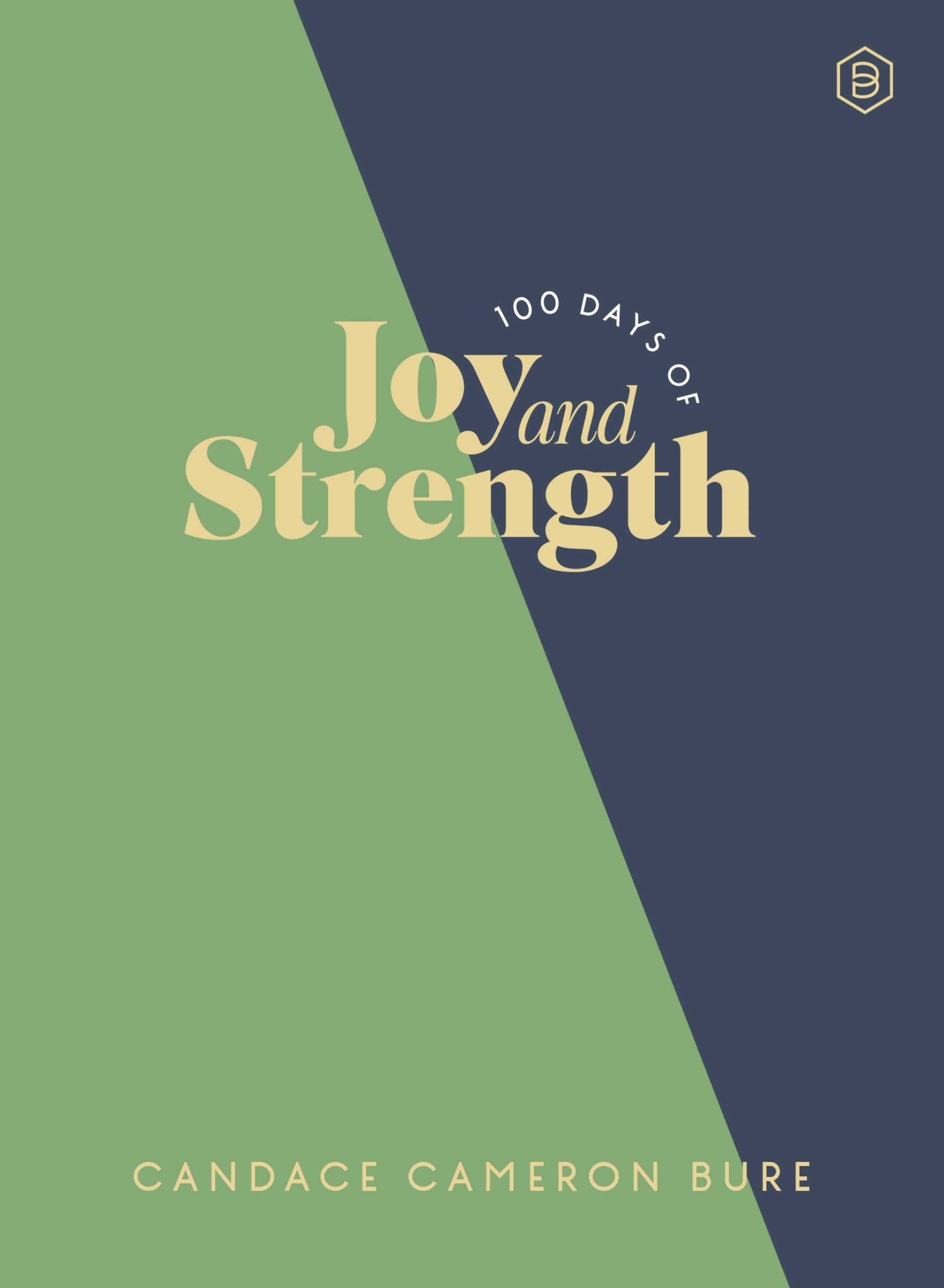 100 Days of Joy and Strength Business, Finance & Career