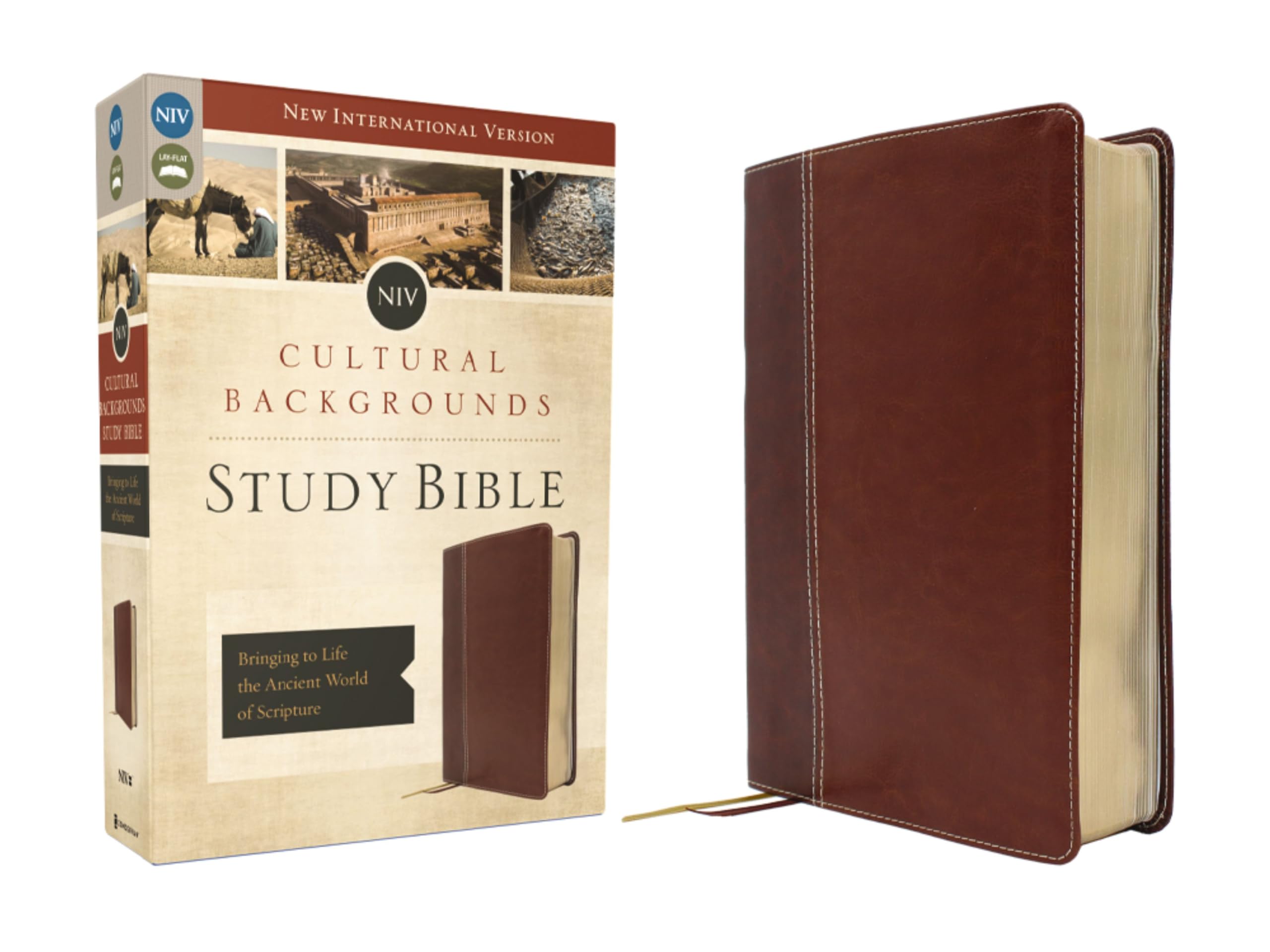 NIV, Cultural Backgrounds Study Bible (Context Changes Everything), Leathersoft, Brown, Red Letter: Bringing to Life the Ancient World of Scripture Religion & Esotericism