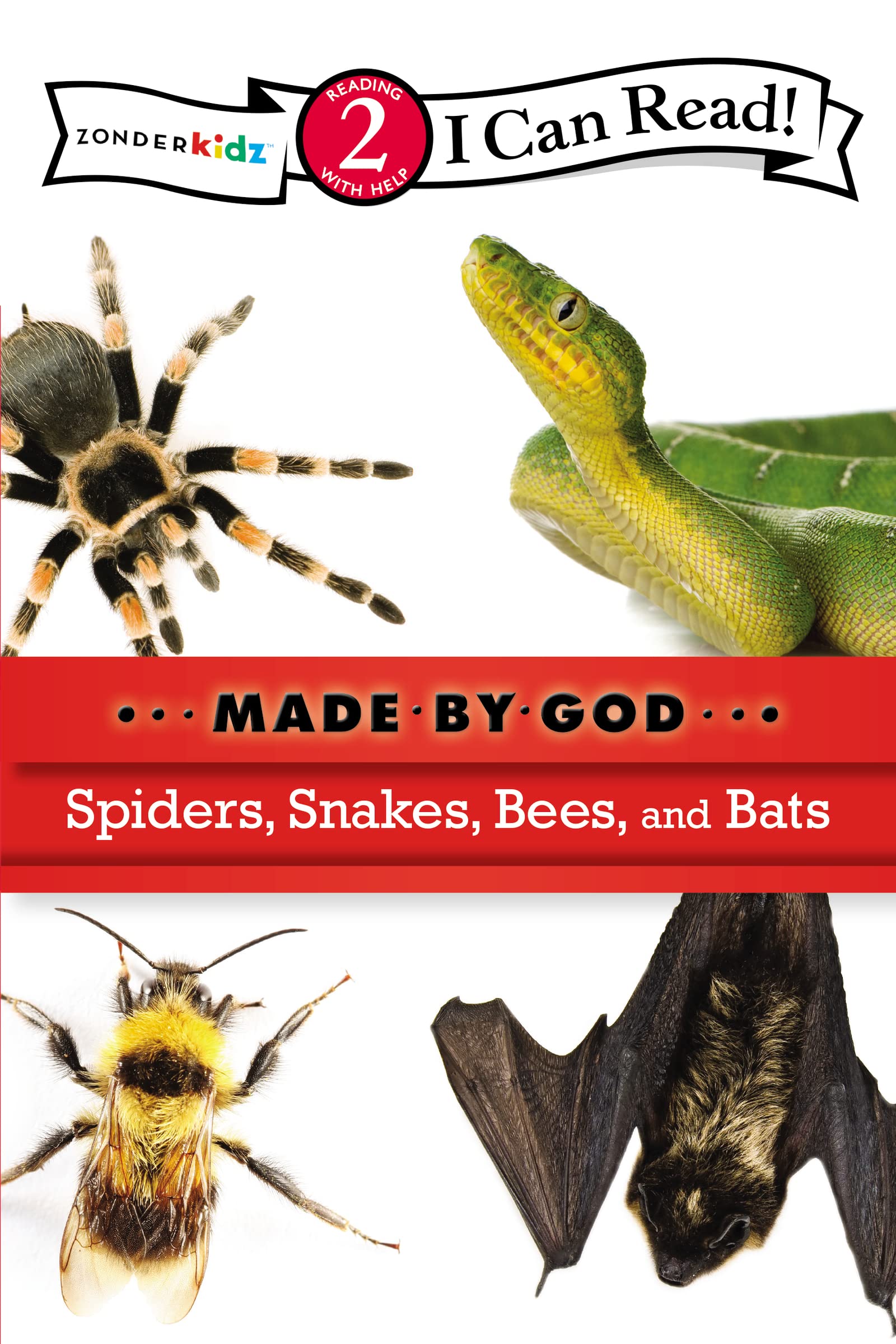 Spiders, Snakes, Bees, and Bats: Level 2 (I Can Read! / Made By God) Study Guides