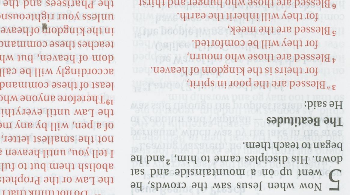 Fruit of the Spirit Bible-NIV Film, Art & Culture