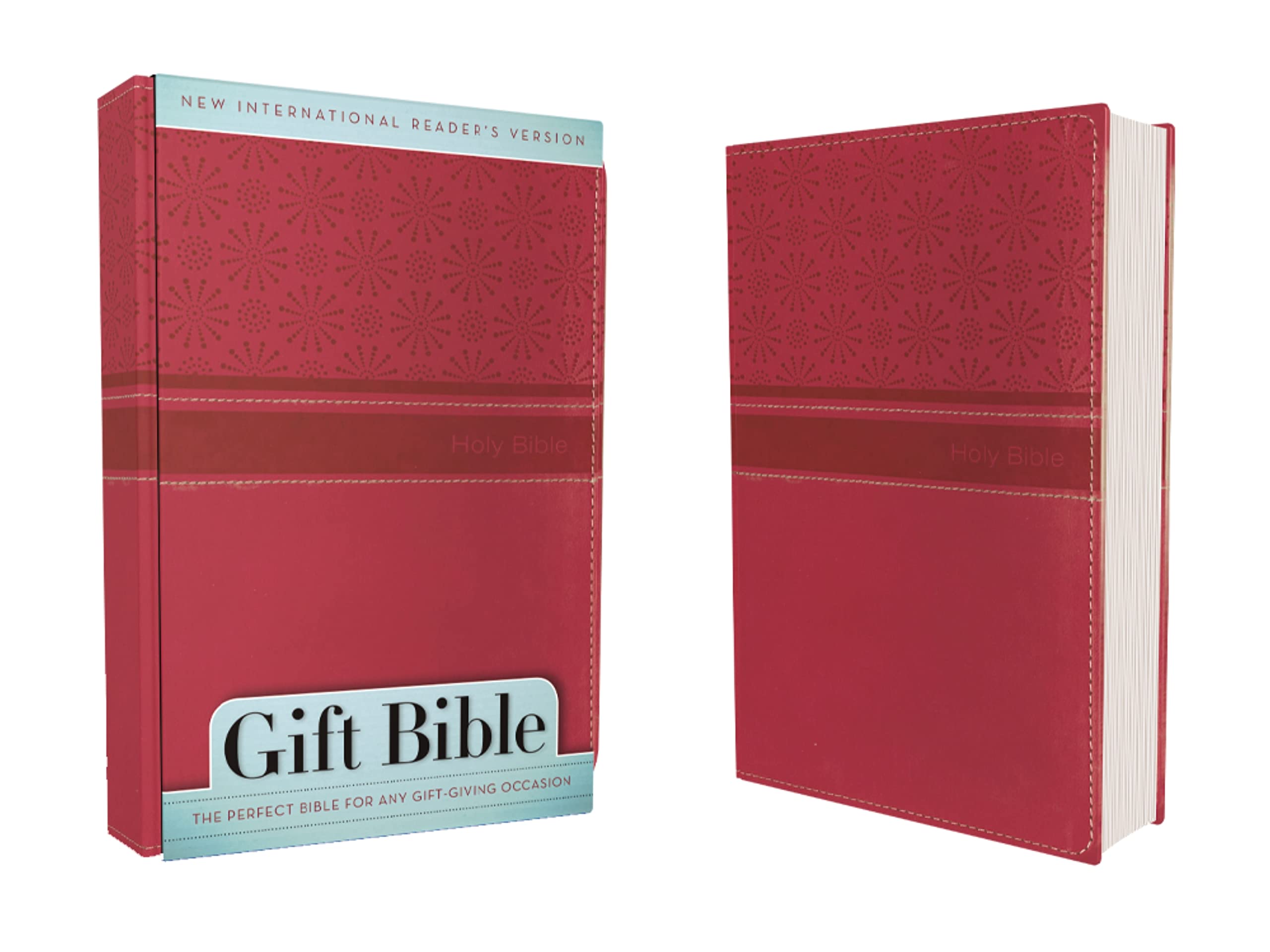 NIrV, Gift Bible, Leathersoft, Pink: New International Reader's Version, Hot Pink, Italian Duo-Tone Gift Film, Art & Culture