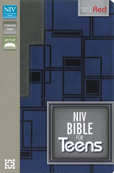 Holy Bible: New International Version, Charcoal / Blue, Italian Duo-Tone, For Teens Religion & Esotericism