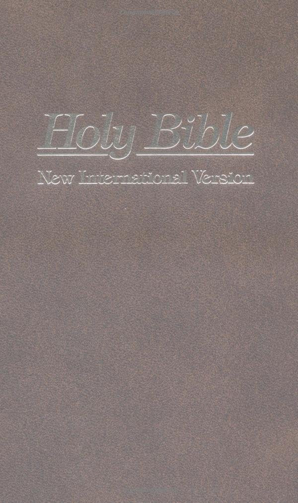 The Holy Bible New International Version: Containing the Old Testament and the New Testament Religion & Esotericism