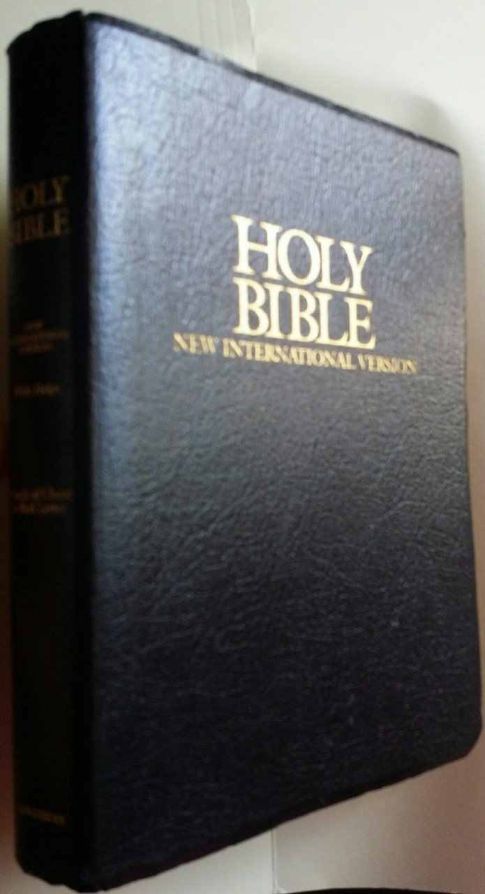 Holy Bible, New International Version: Deluxe Gift & Award Bible/Black Religion & Esotericism