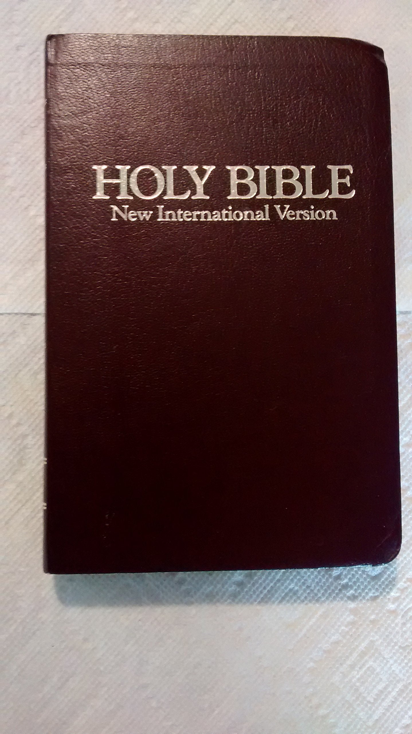 Holy Bible; New International Version containing The Old Testament and The New Testament Books