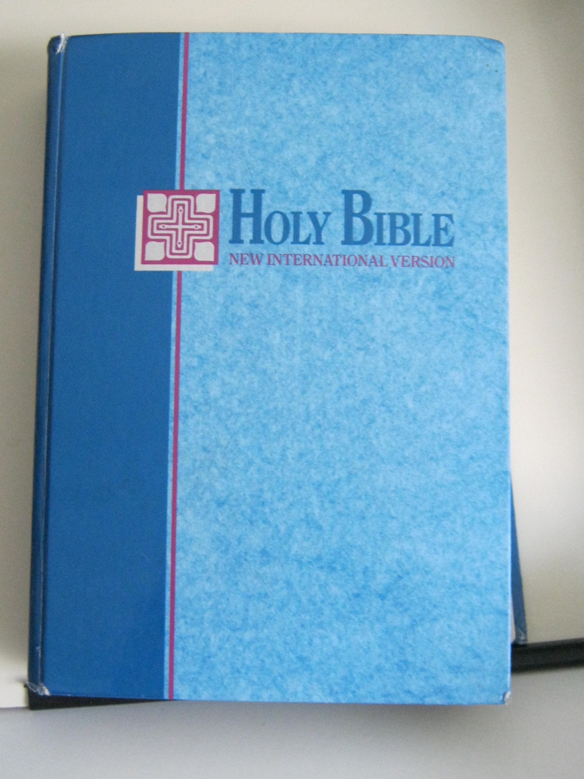 Holy Bible New International Version, Giant Print, Containing the Old Testament and the New Testament Religion & Esotericism