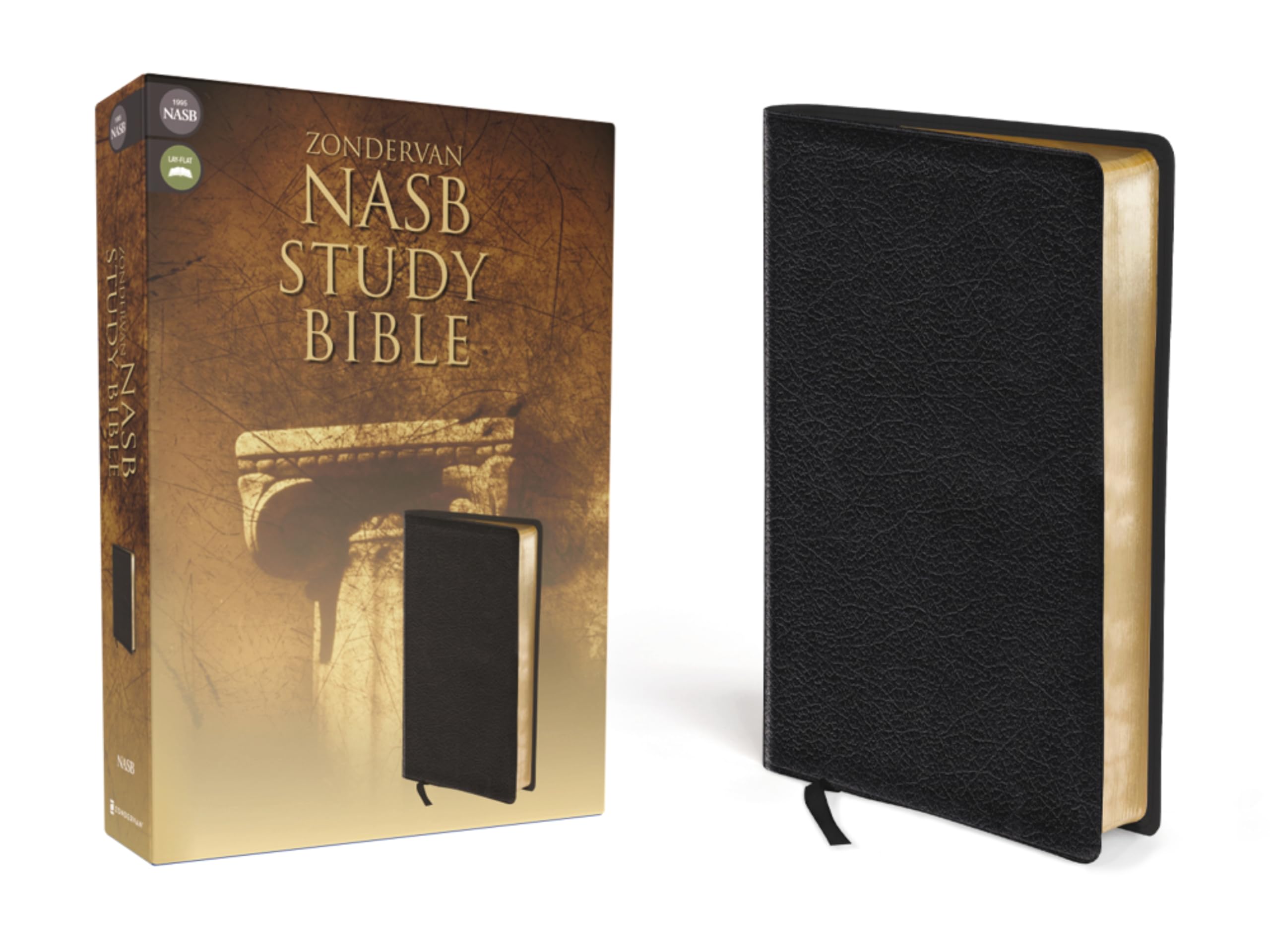NASB, Zondervan NASB Study Bible, Bonded Leather, Black, Red Letter: Black Bonded Leather Religion & Esotericism