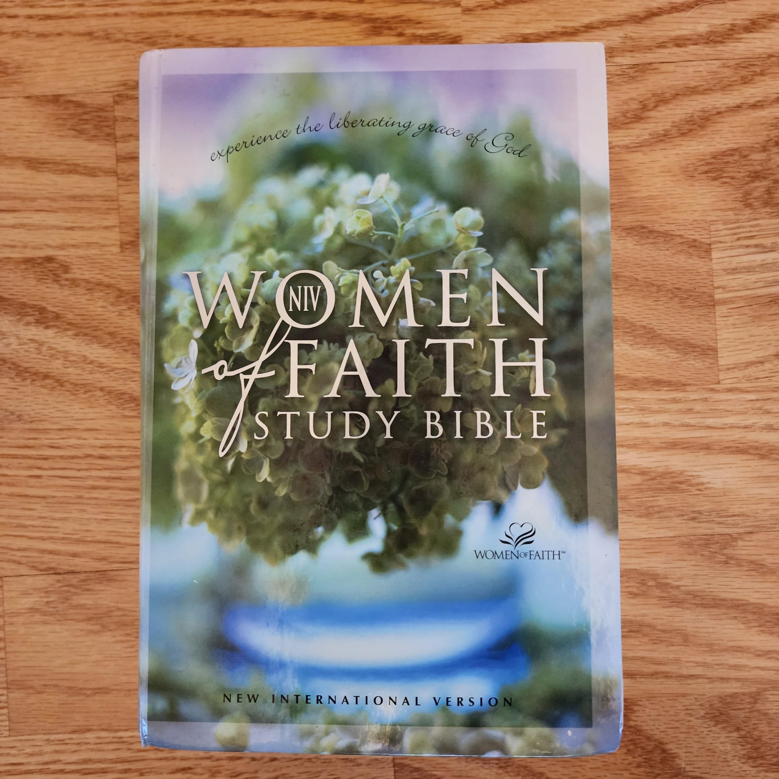 Women of Faith Study Bible New International Version: New Experiences of God's Power and Grace Religion & Esotericism