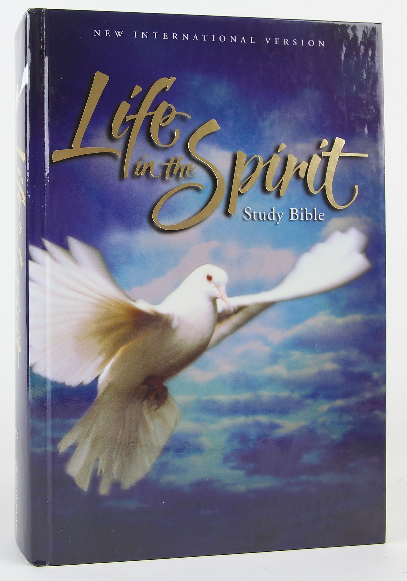 Life in the Spirit Study Bible: New International Version Religion & Esotericism
