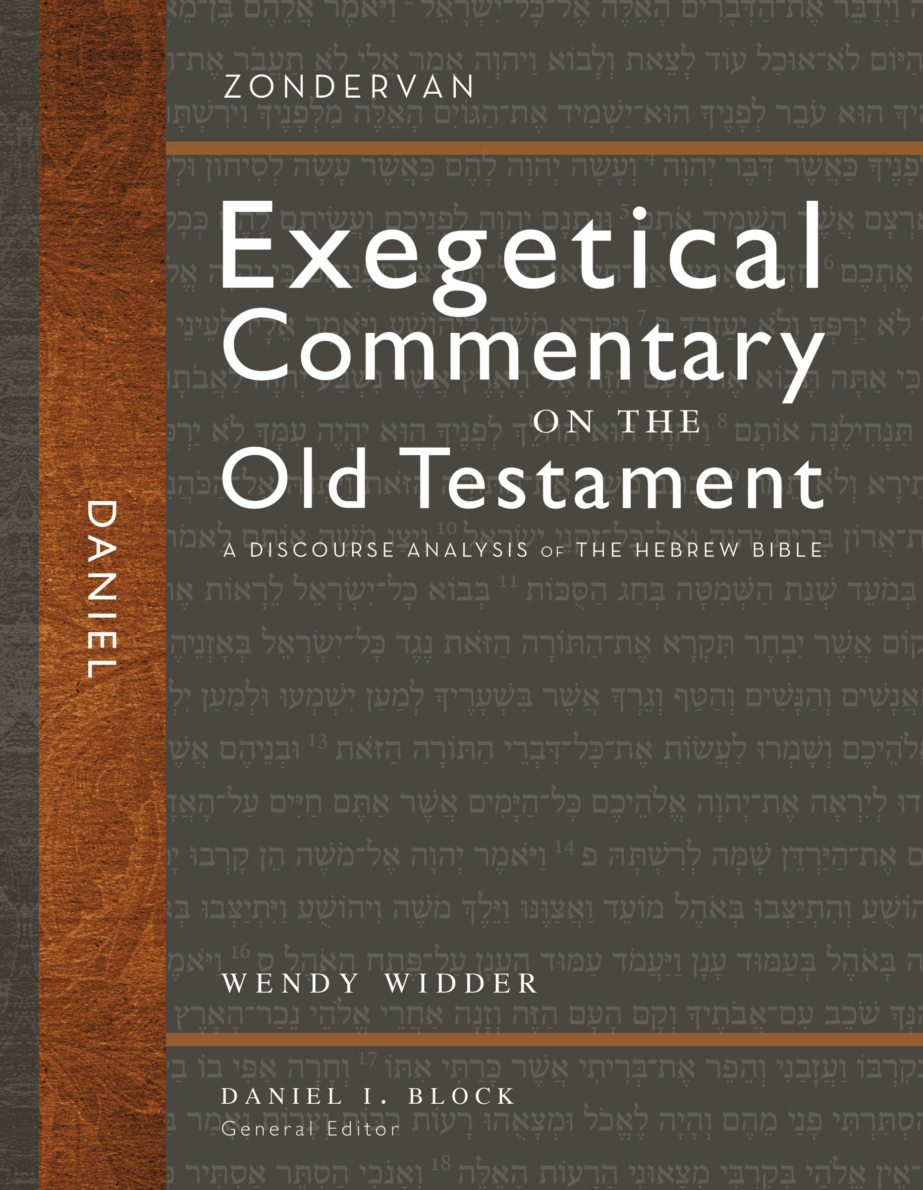Daniel: A Discourse Analysis of the Hebrew Bible (23) (Zondervan Exegetical Commentary on the Old Testament, Band 23) Religion & Esotericism