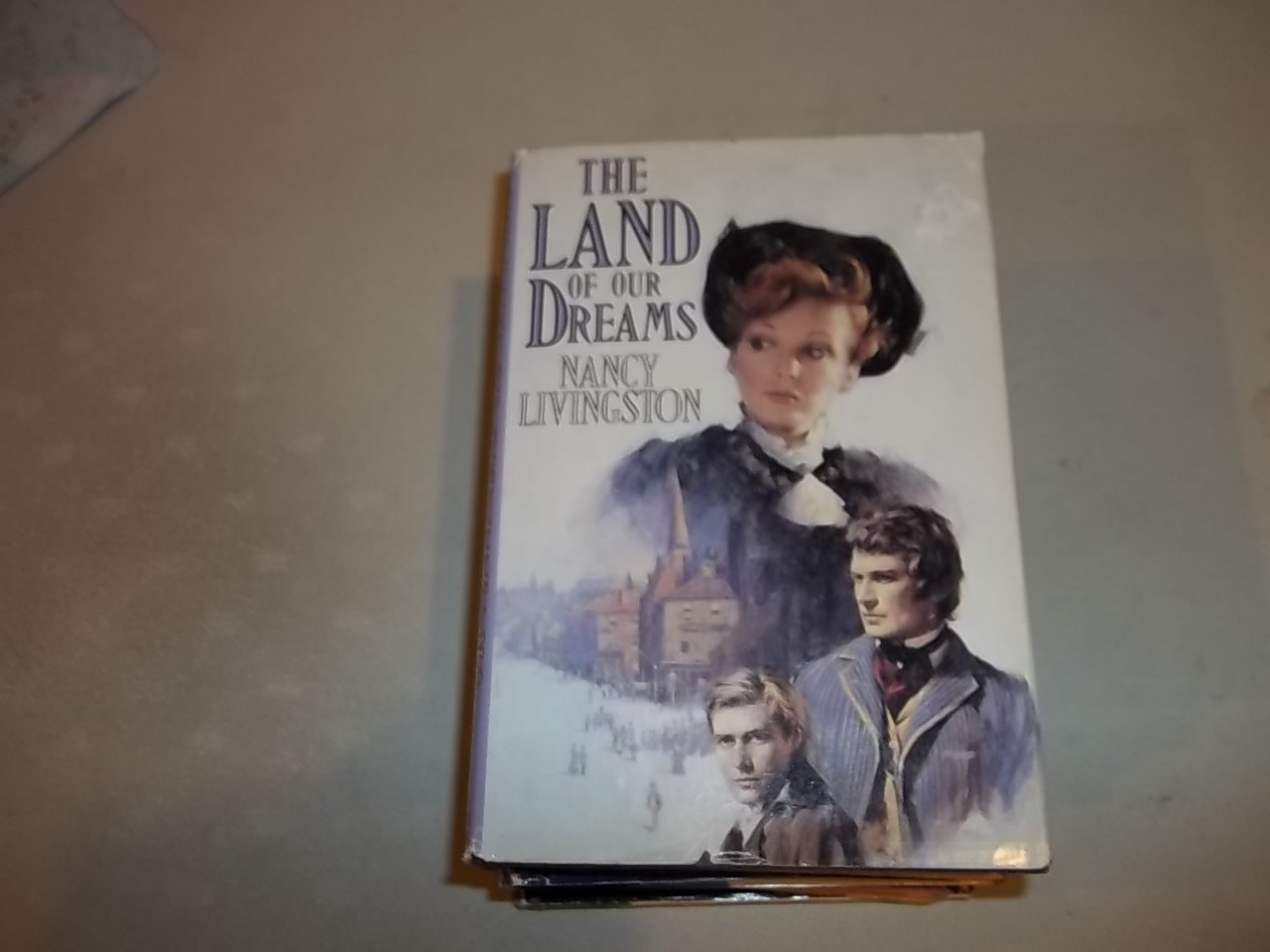 The Land of Our Dreams Contemporary literature