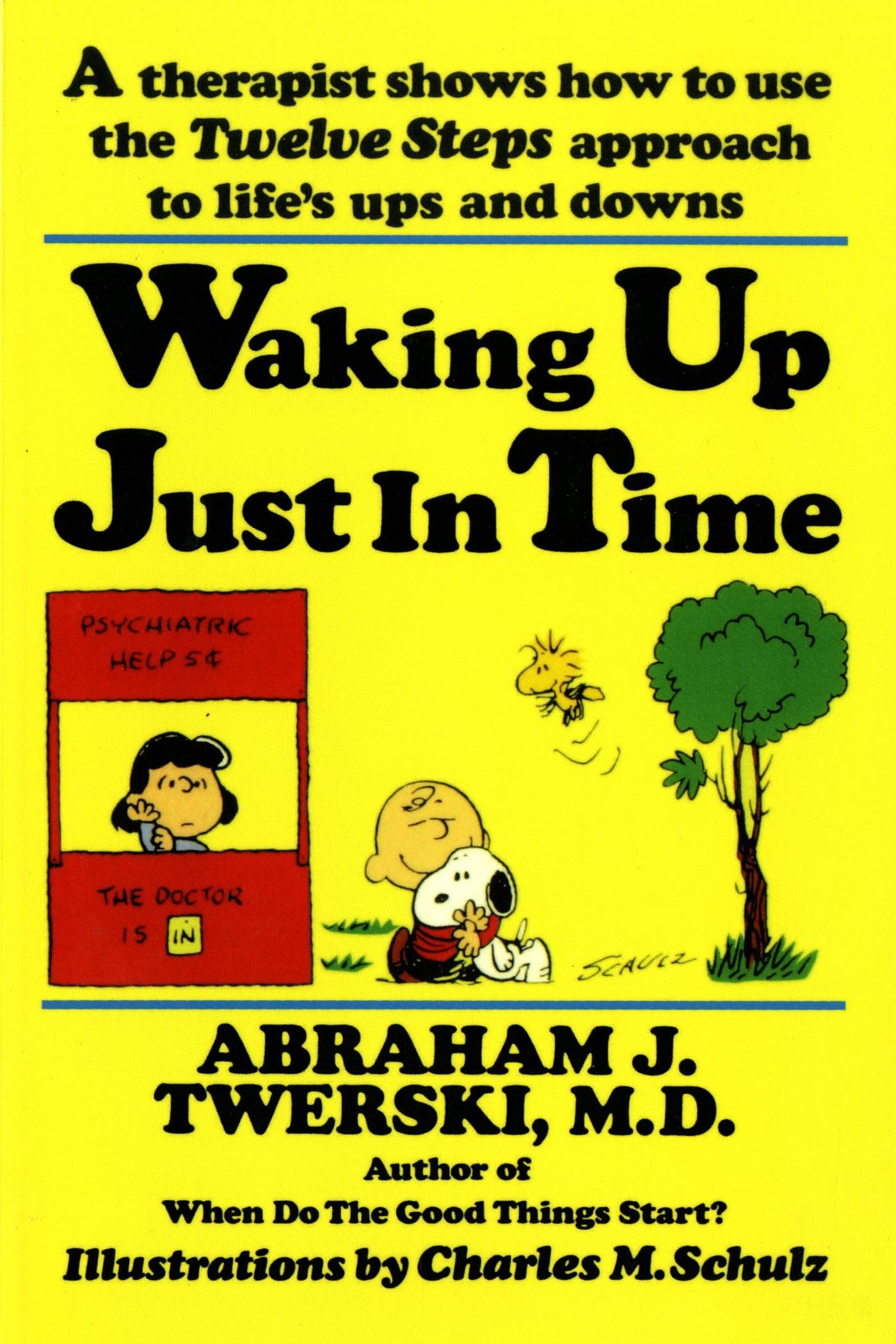 Waking Up Just in Time: A Therapist Shows How to Use the "Twelve Steps" Approach to Life's Ups and Downs book
