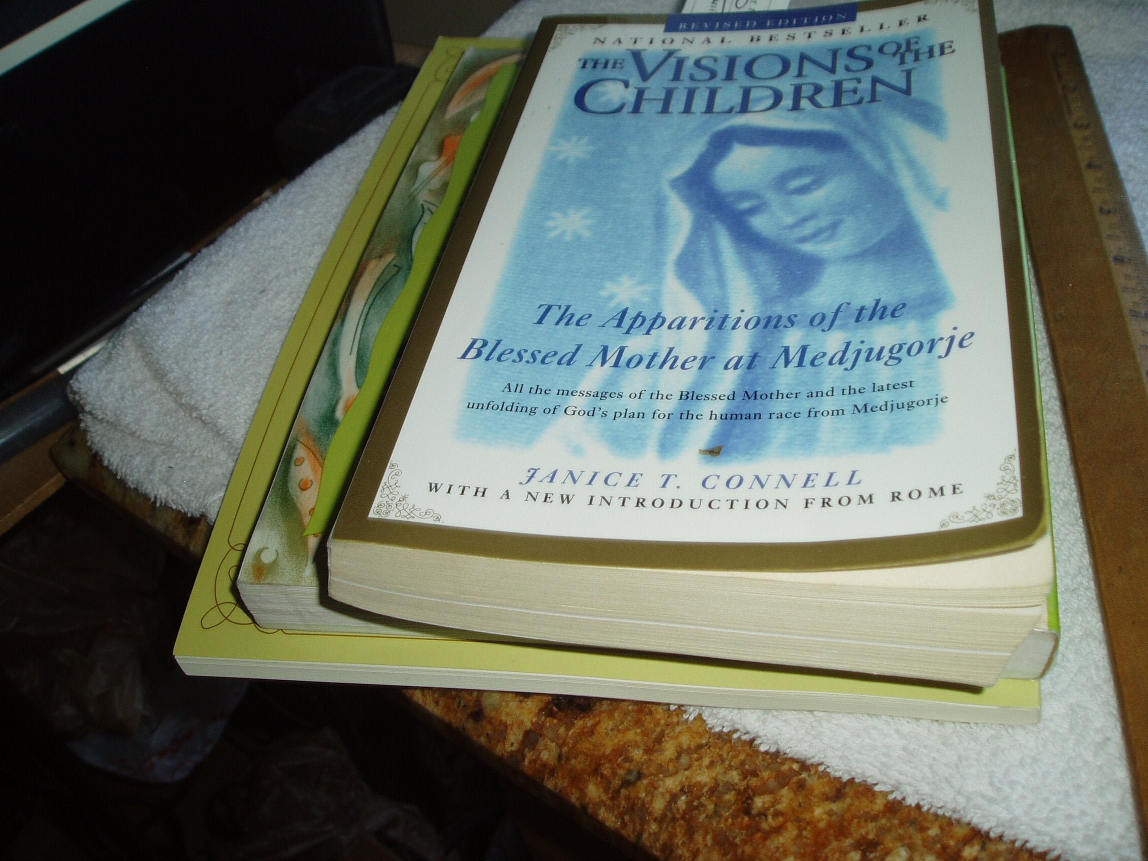 The Visions of the Children: The Apparitions of the Blessed Mother at Medjugorje Religion & Esotericism