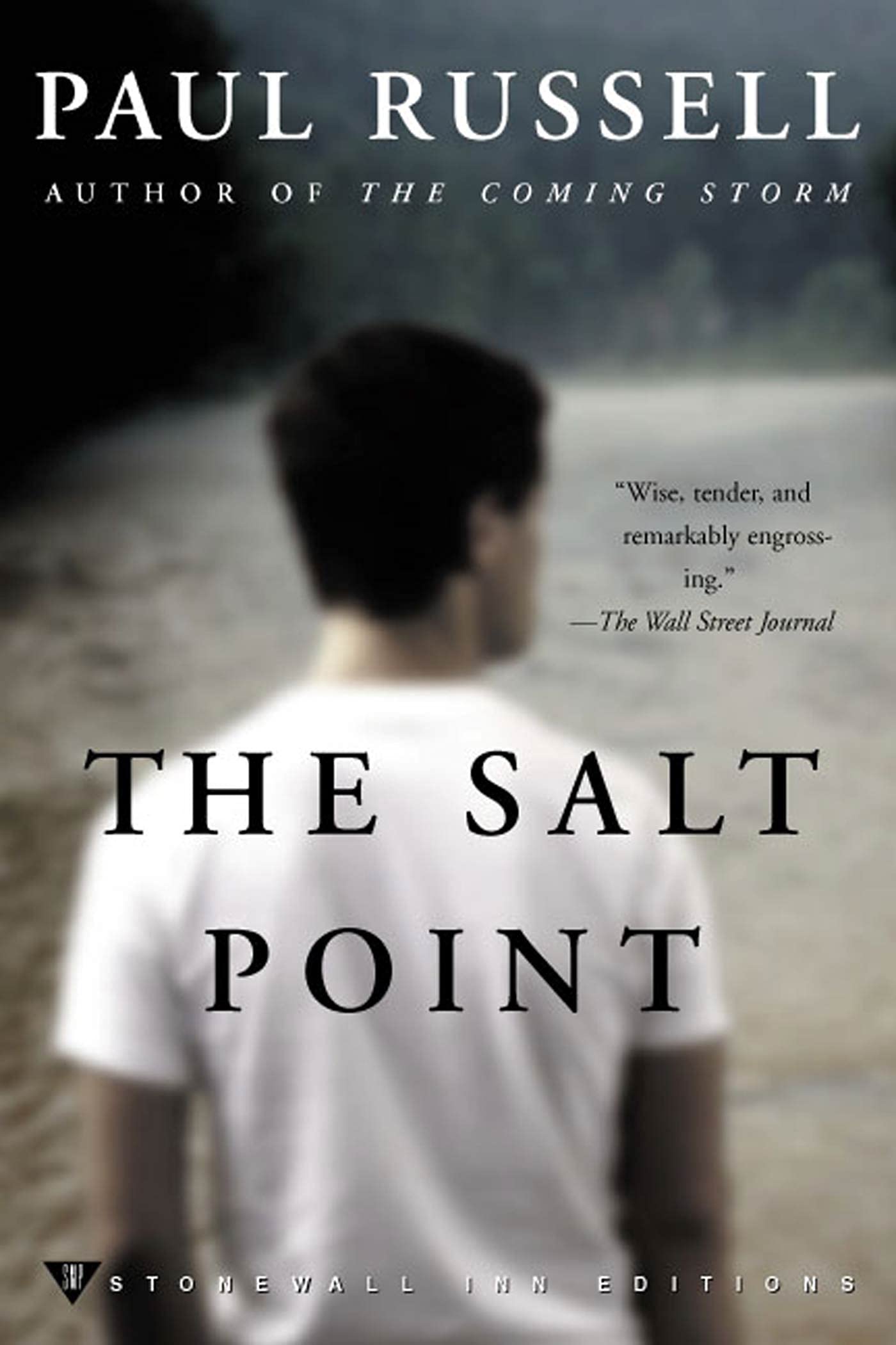 Salt Point: A Novel (Stonewall Inn Editions (Paperback)) LGBTQ+