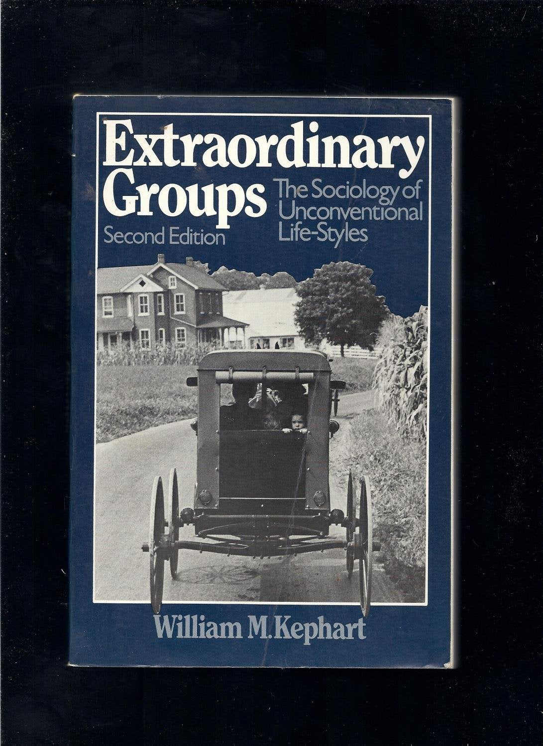 Extraordinary groups: The sociology of unconventional life-styles Books