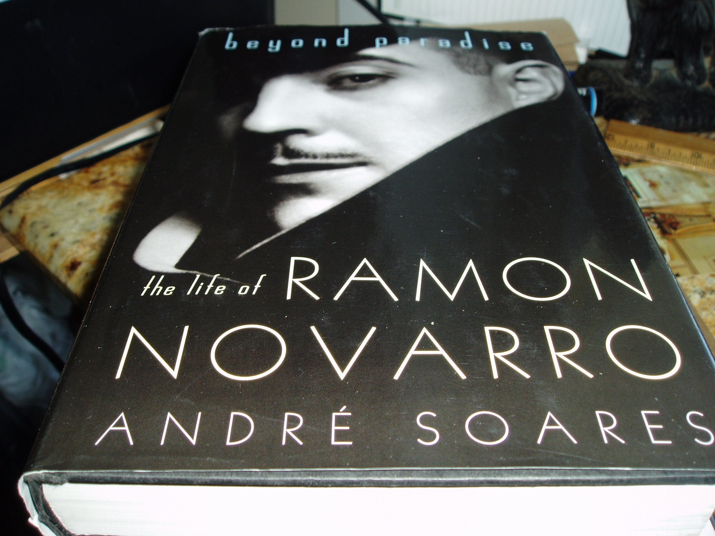 Beyond Paradise: The Life of Ramon Novarro Art & Literature