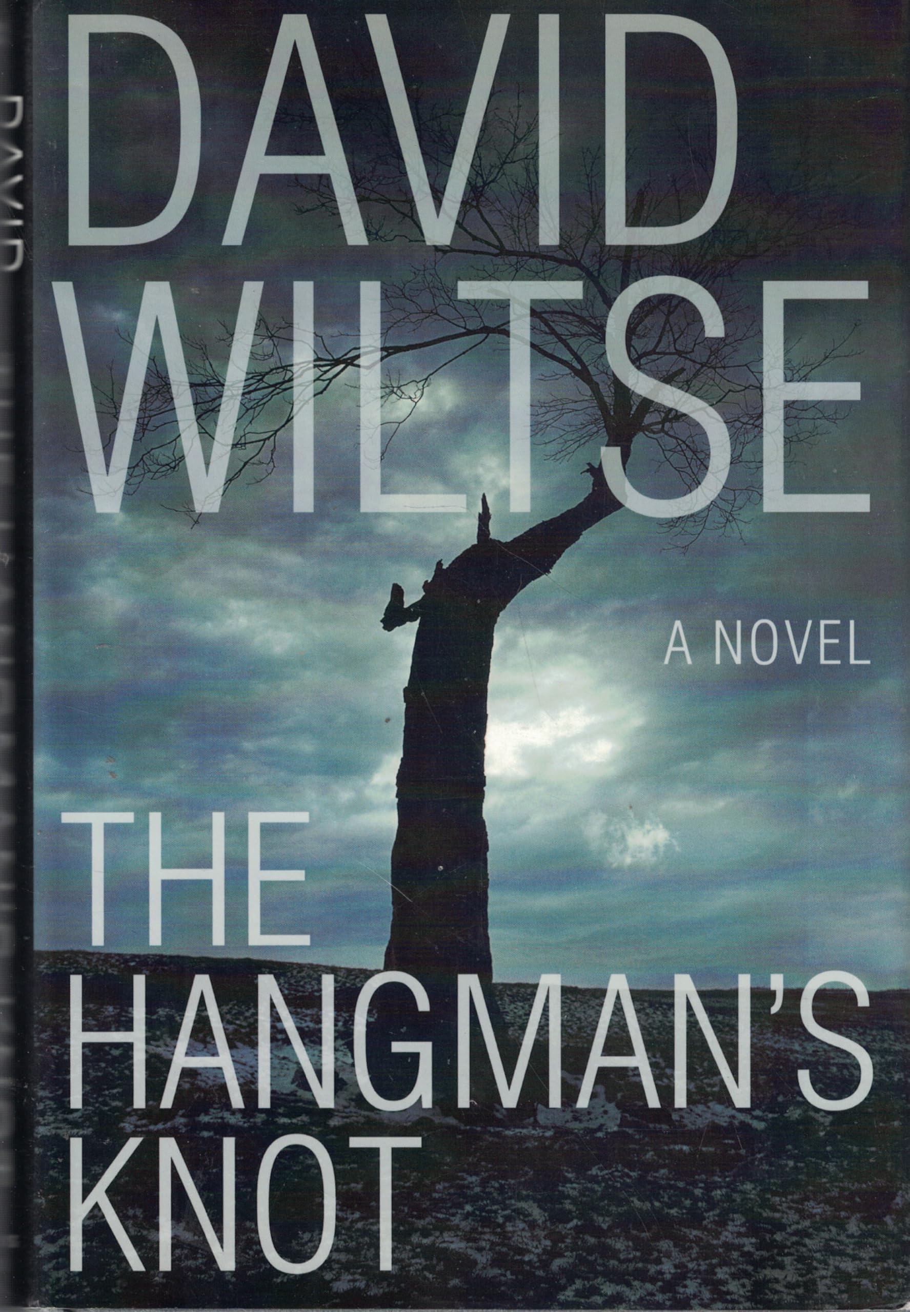 The Hangman's Knot: A Novel Contemporary literature