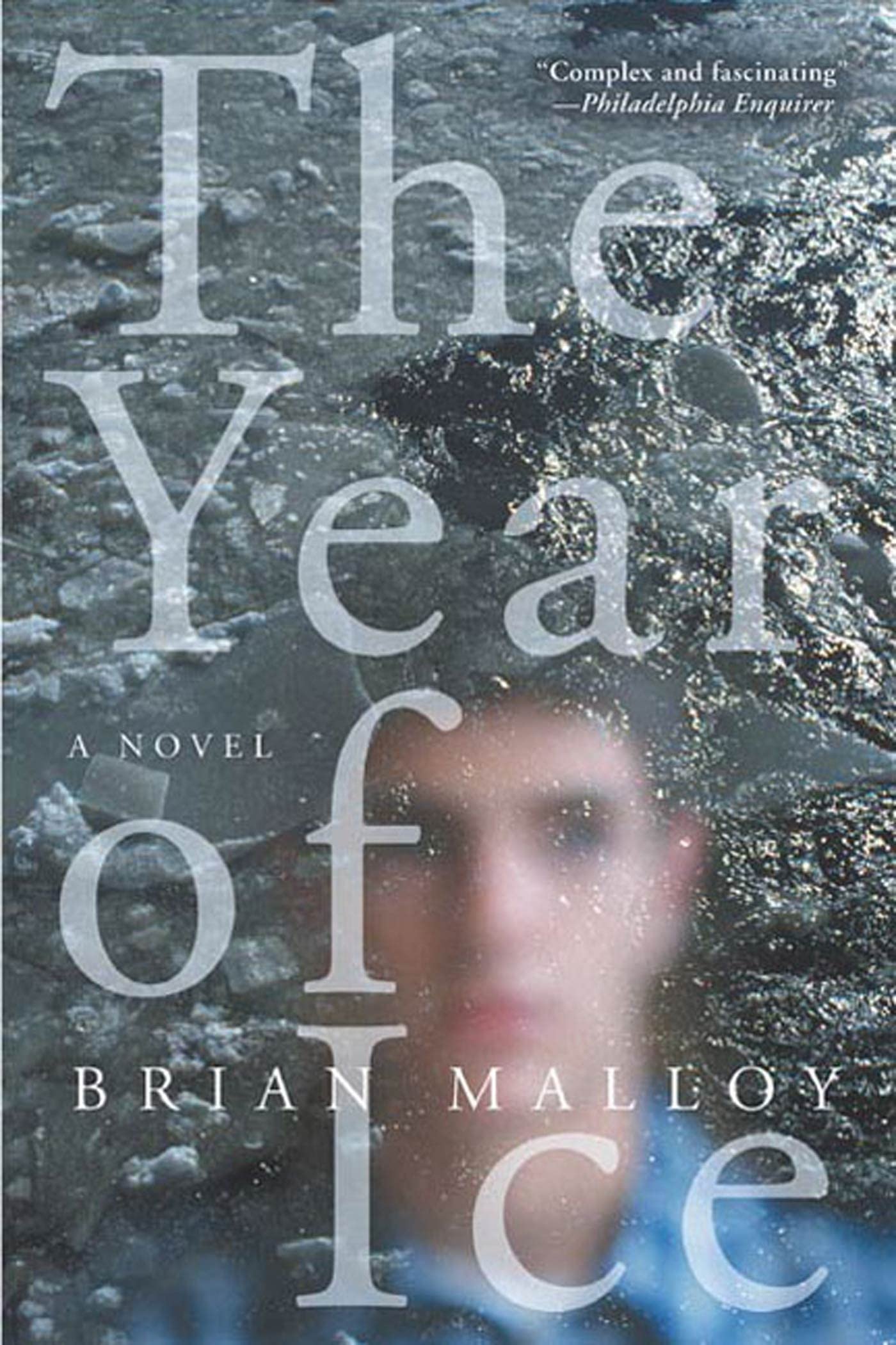 The Year of Ice Contemporary literature
