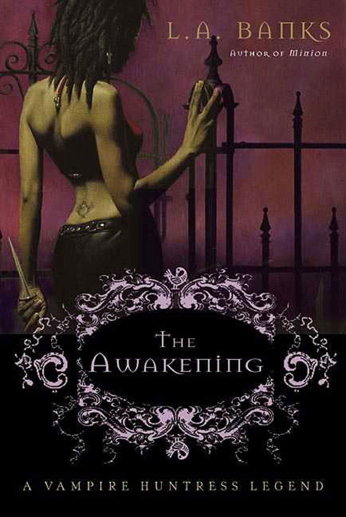The Awakening: A Vampire Huntress Legend book