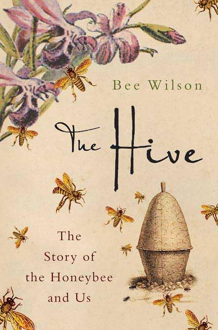 The Hive: The Story of the Honeybee And Us Mathematics