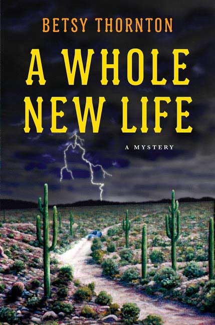 Product Image: A Whole New Life