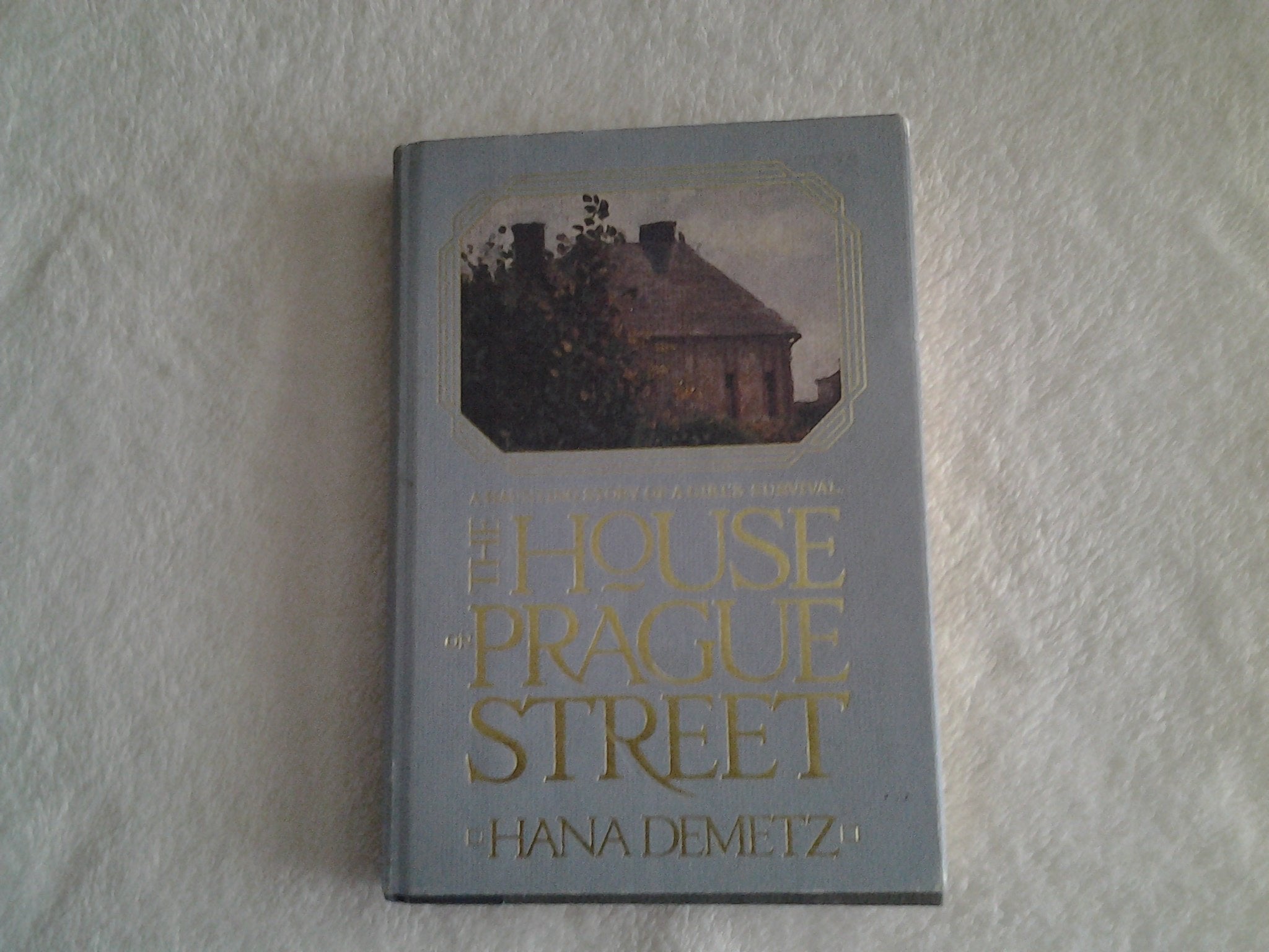 The House on Prague Street Contemporary literature