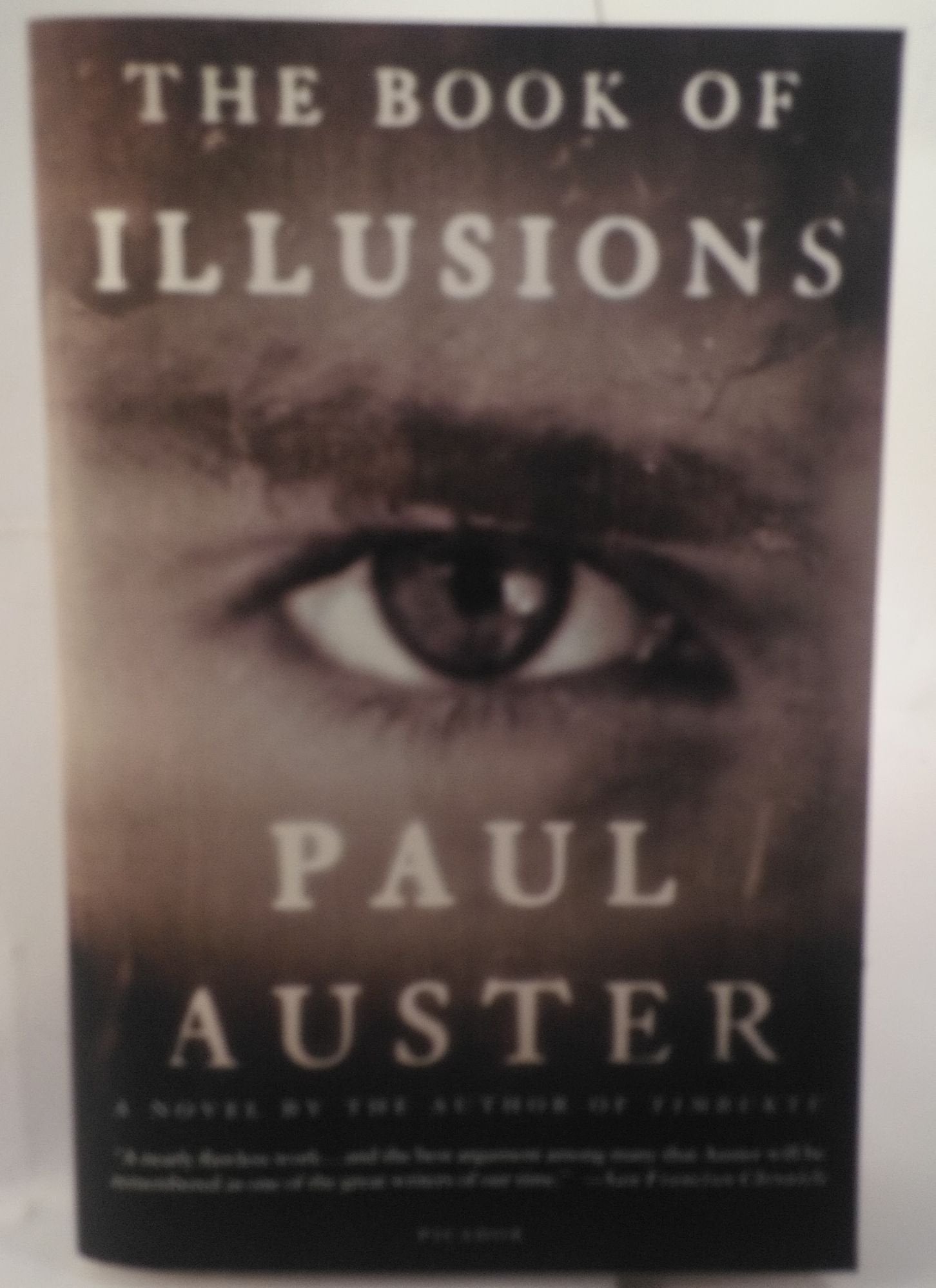 The Book of Illusions: A Novel Contemporary literature