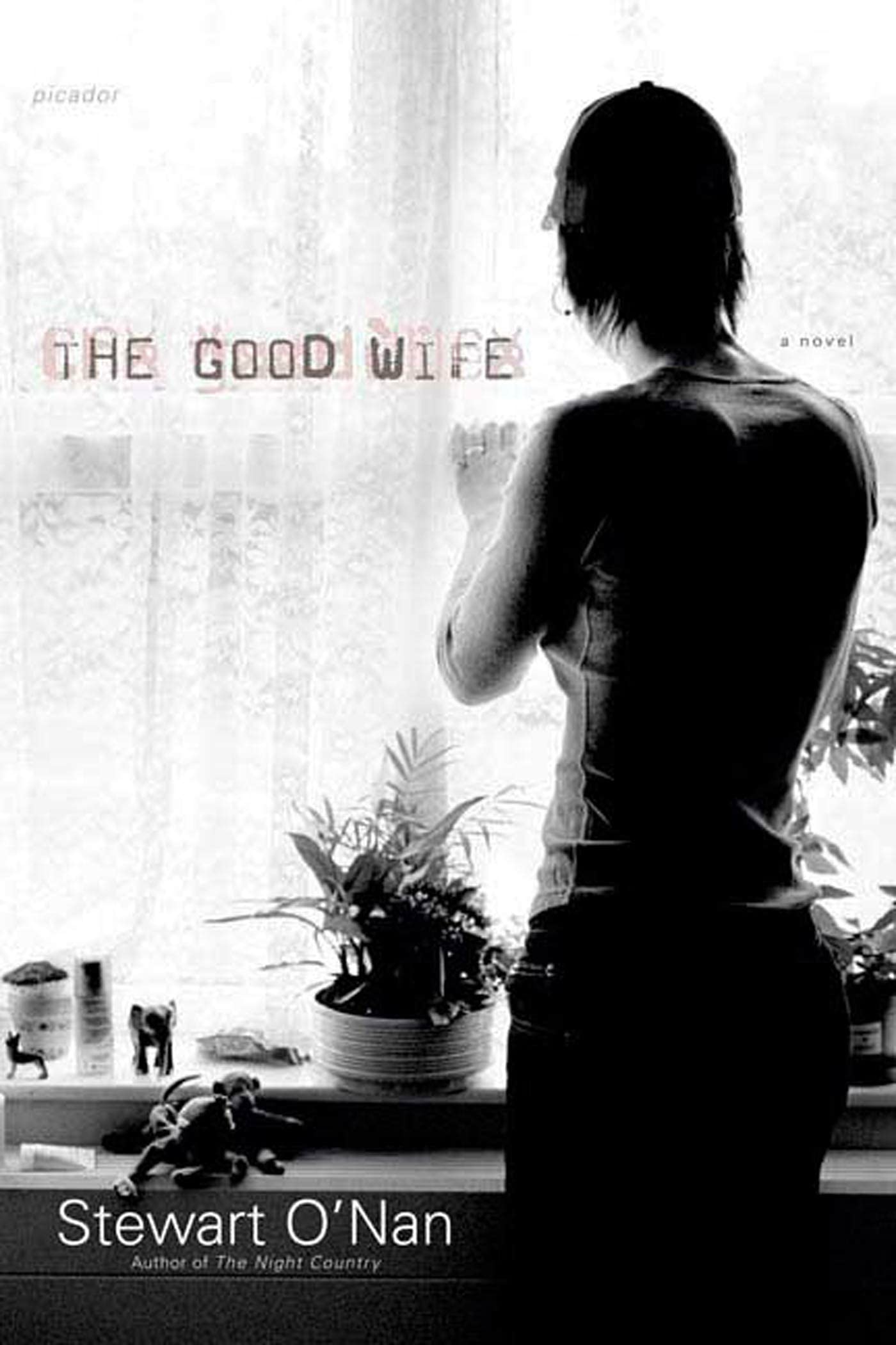 The Good Wife Contemporary literature