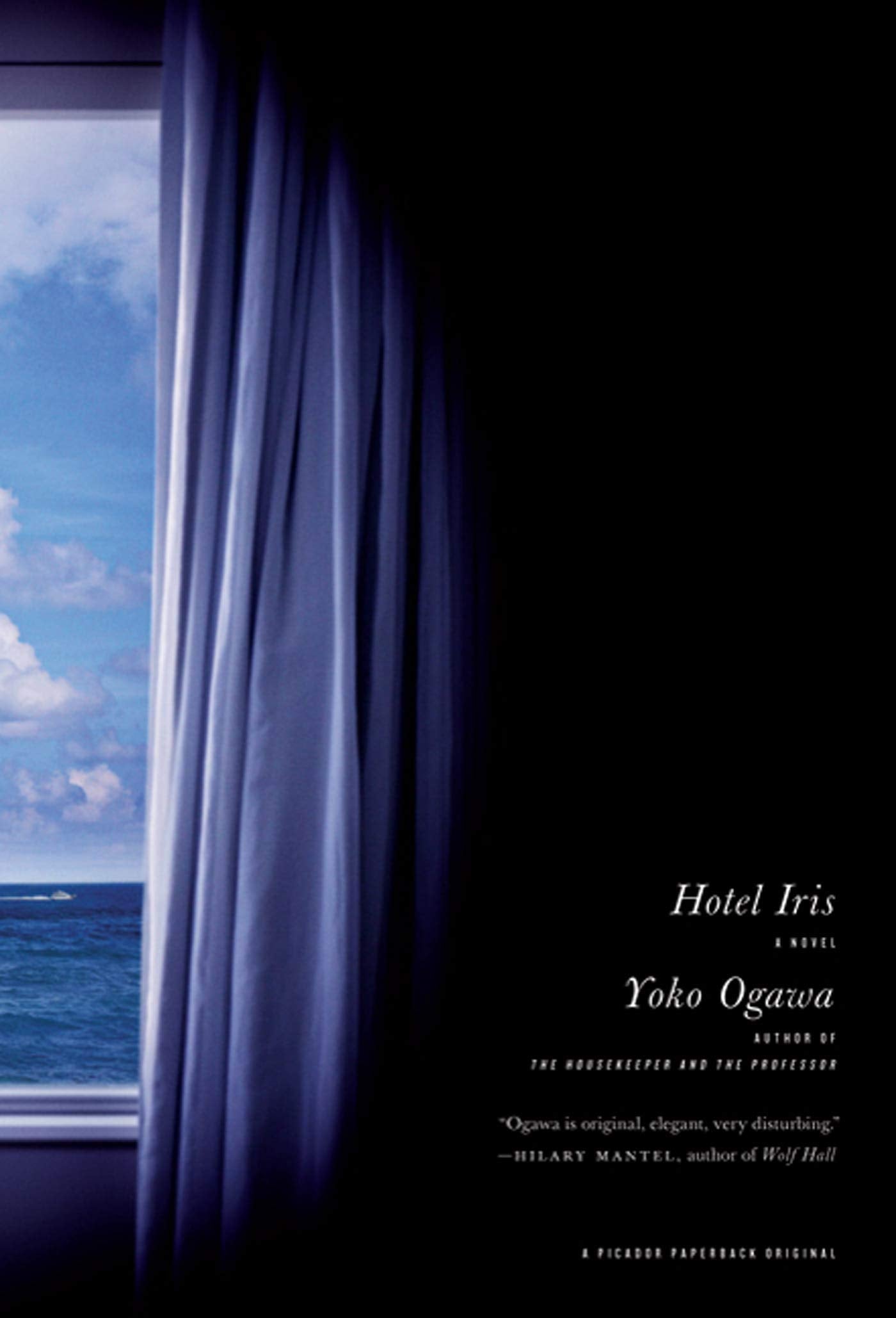 Hotel Iris Contemporary literature Books