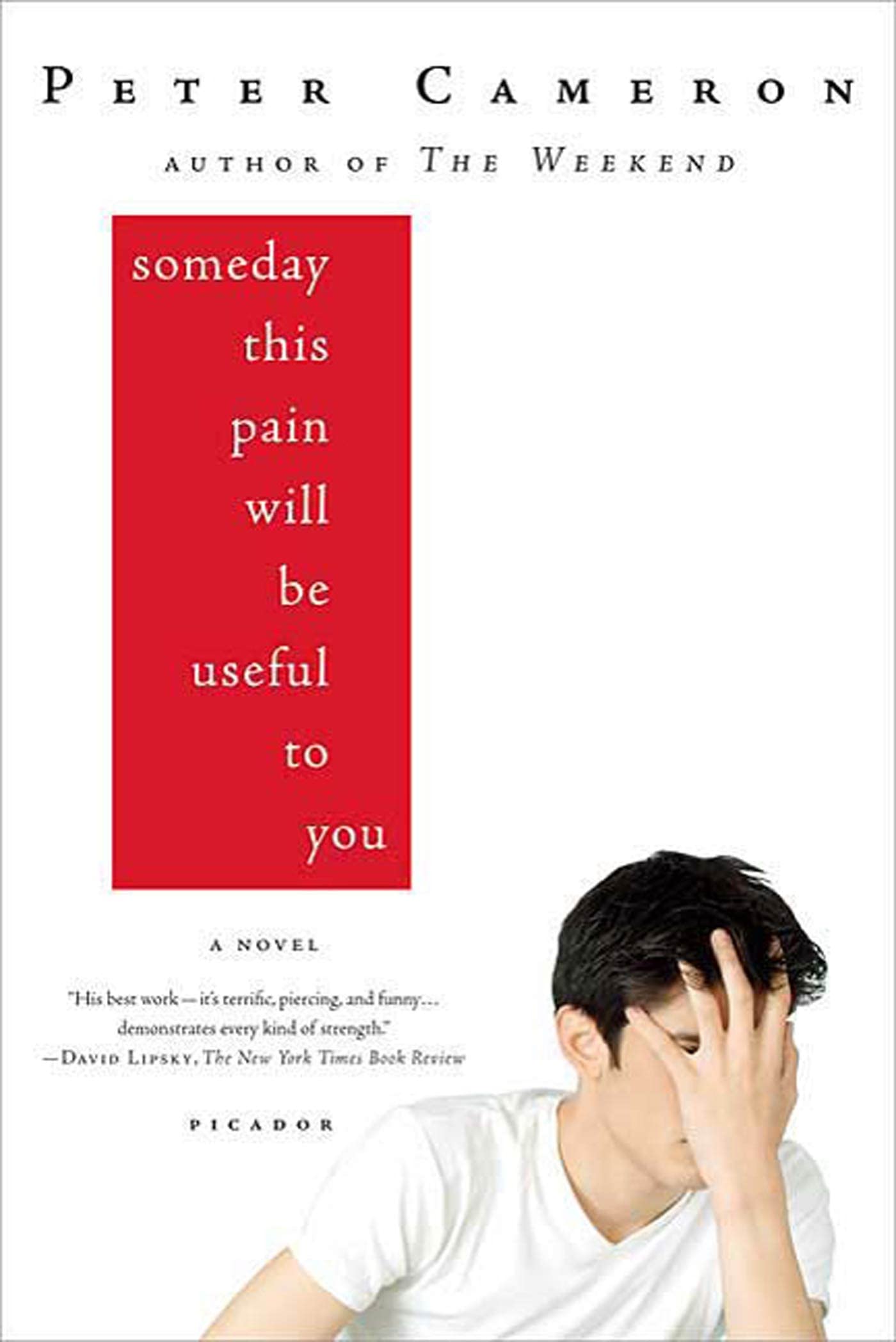 Someday This Pain Will Be Useful to You Contemporary literature