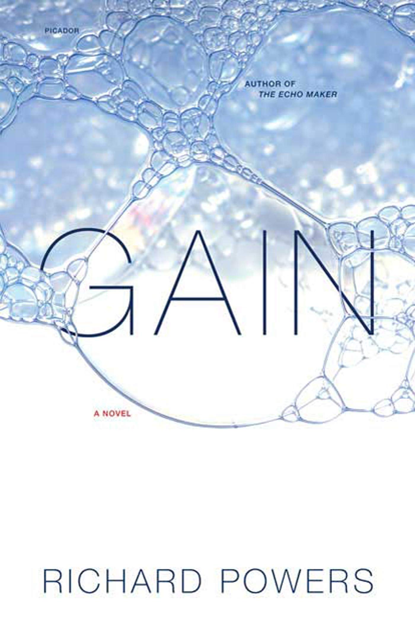Gain: A Novel Contemporary literature
