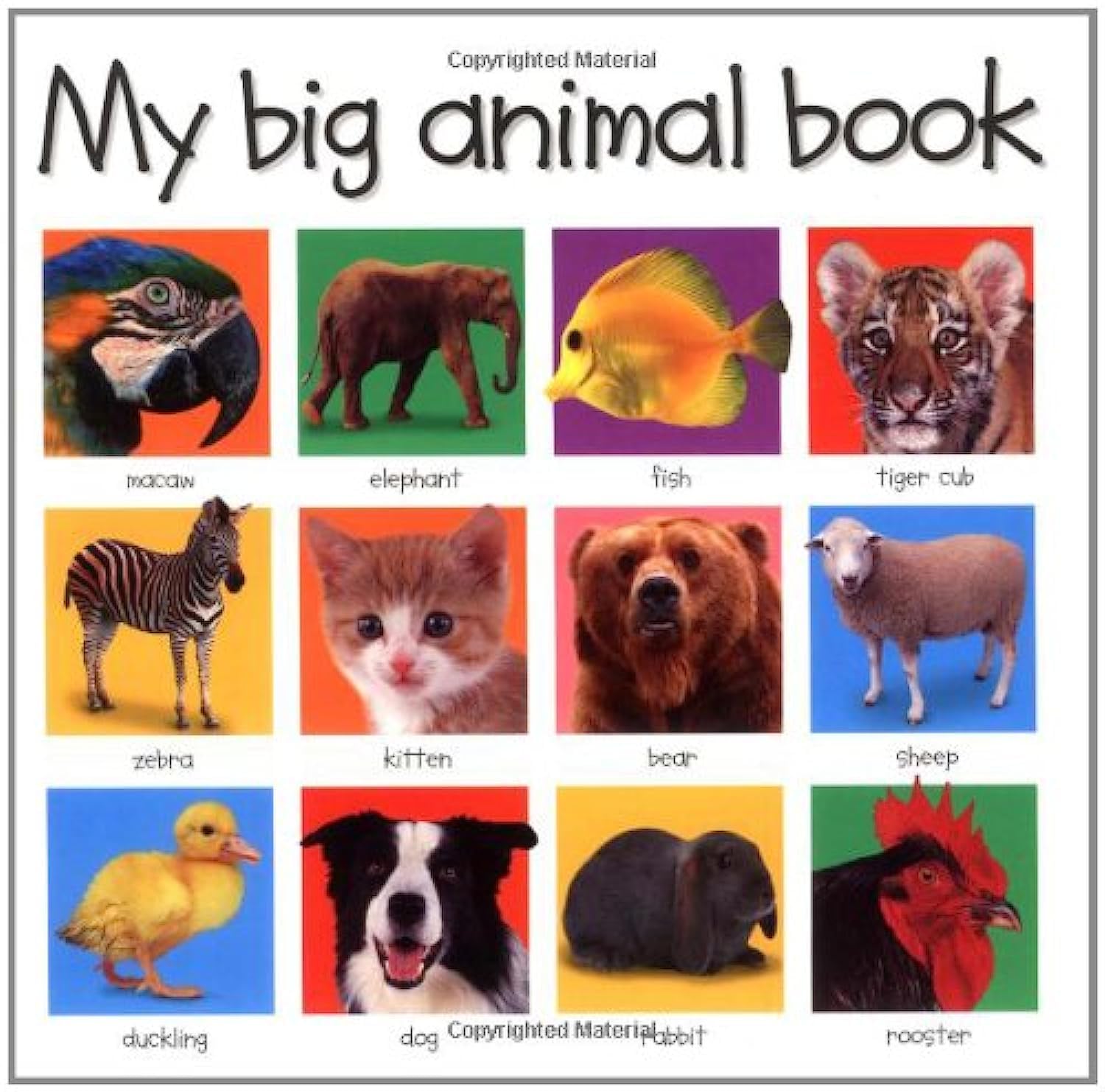 My Big Animal Book Non-fiction books for kids