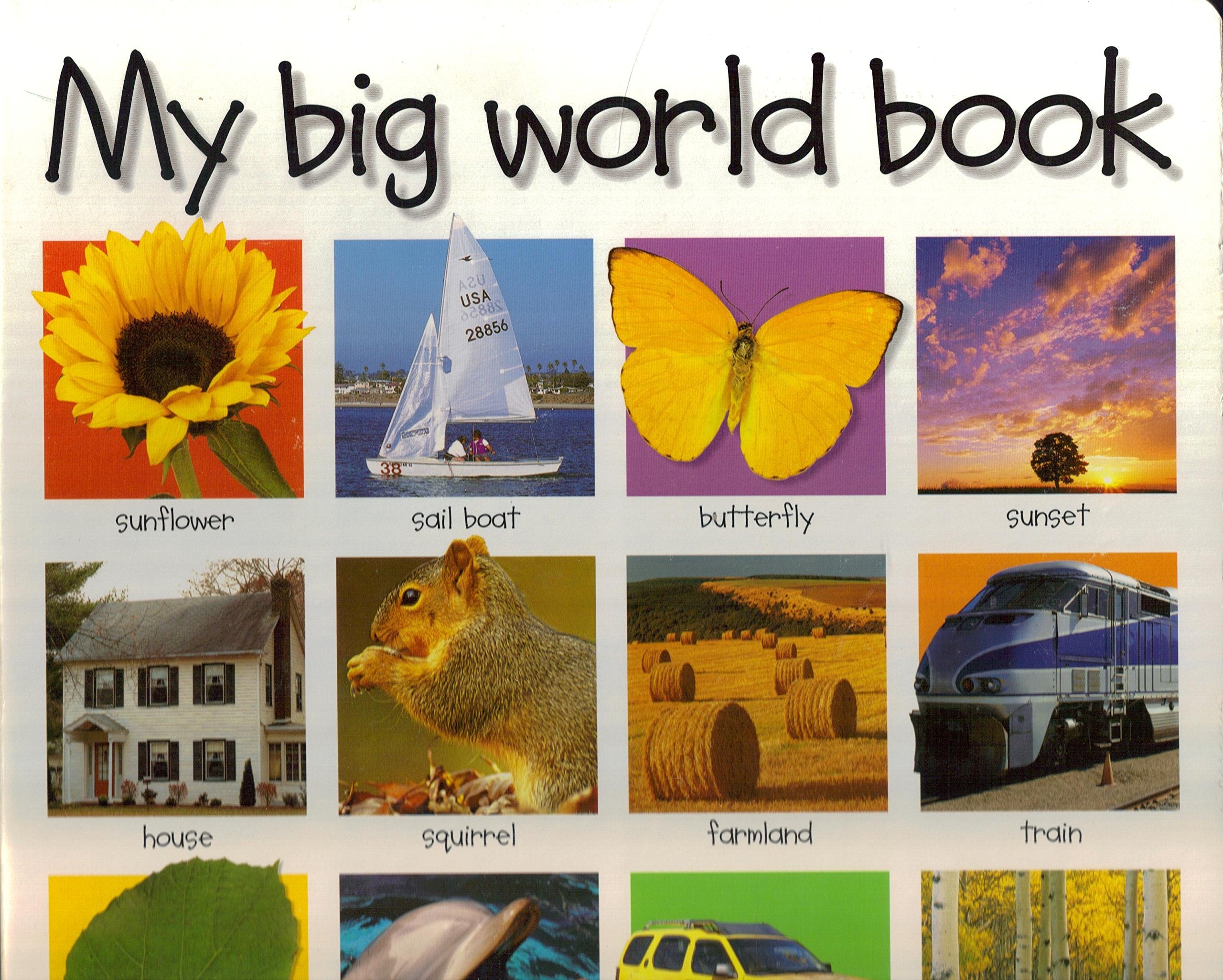 My Big World Book Non-fiction books for kids