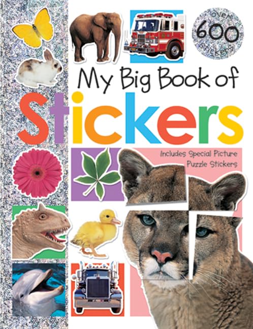 My Big Book Of Stickers book