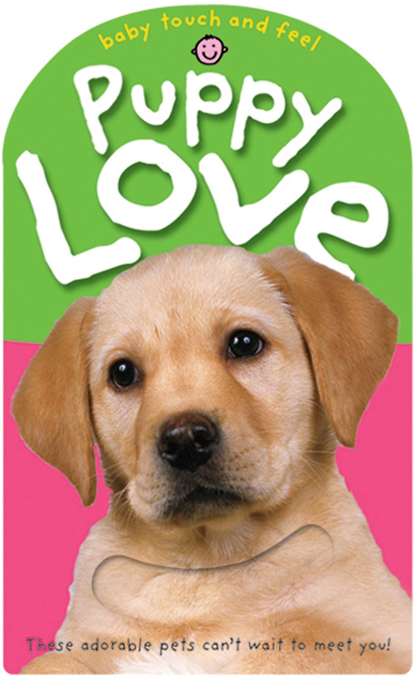 Baby Touch and Feel: Puppy Love Non-fiction