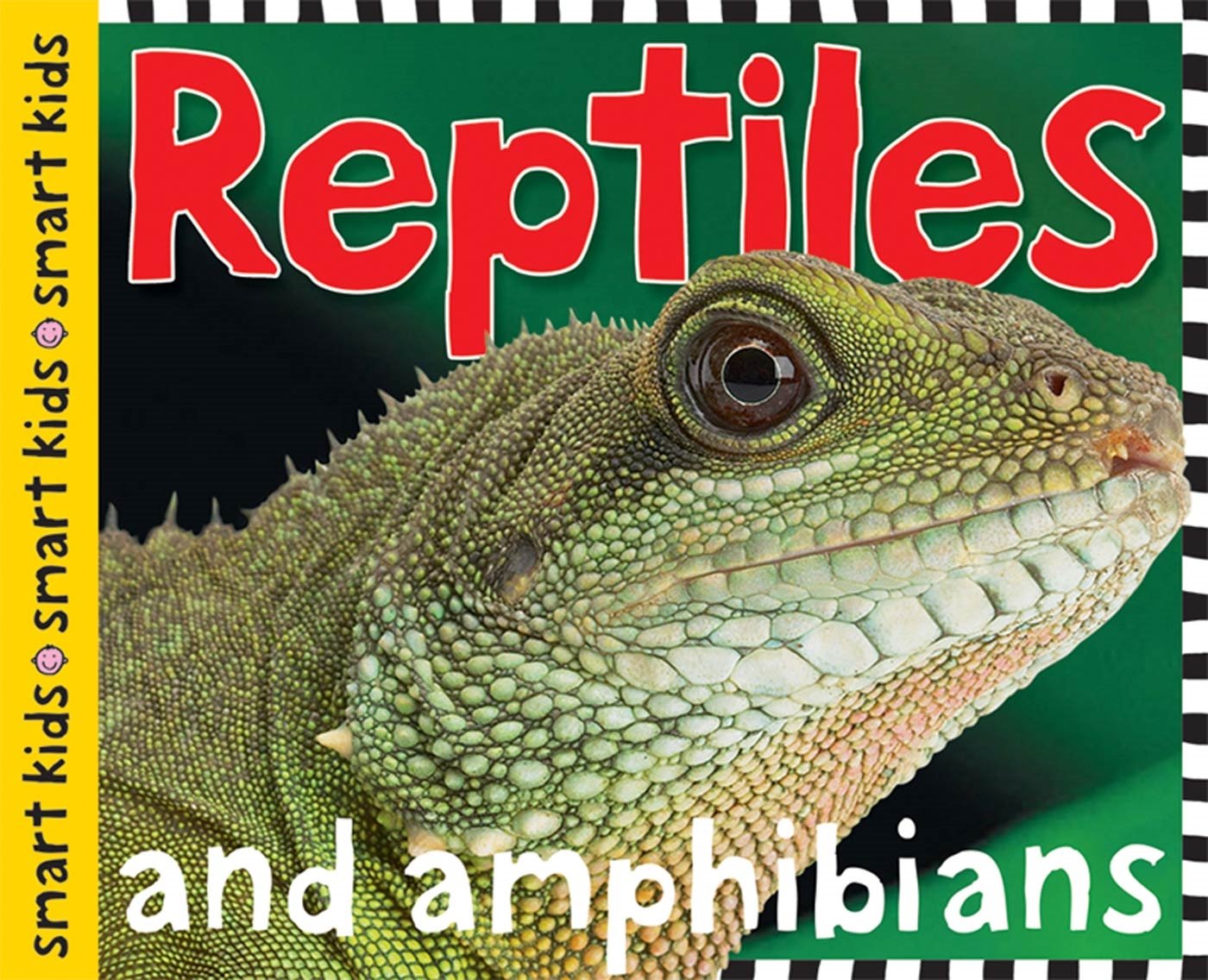Smart Kids: Reptiles and Amphibians: And Amphibians Non-fiction