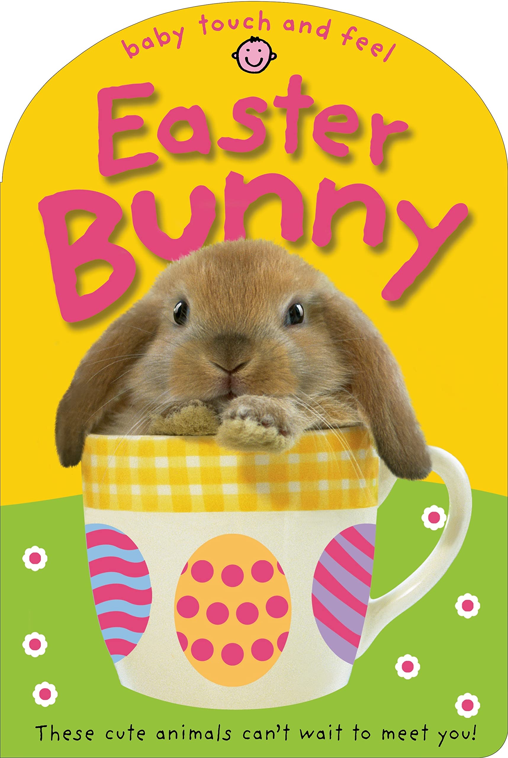 Easter Bunny: These Cute Animals Can't Want to Meet You! (Baby Touch and Feel) Parents & Children