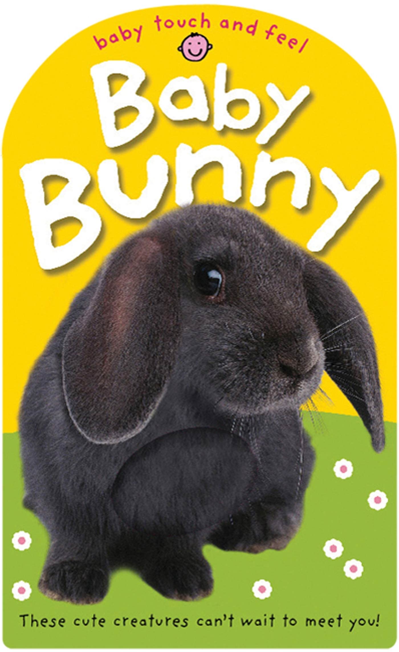 Baby Bunny: These Cute Animals Can't Wait to Meet You! (Baby Touch and Feel) Non-fiction