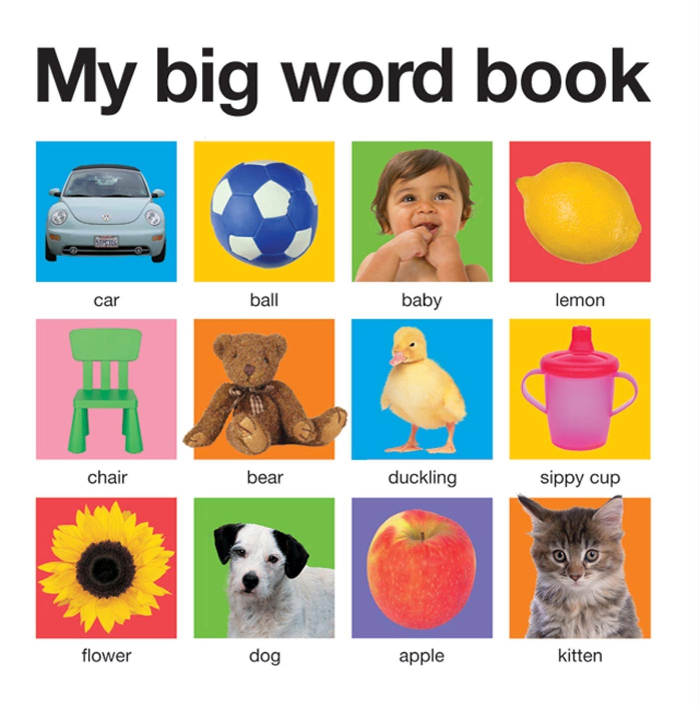 My Big Word Book (My Big Boardbooks) Non-fiction