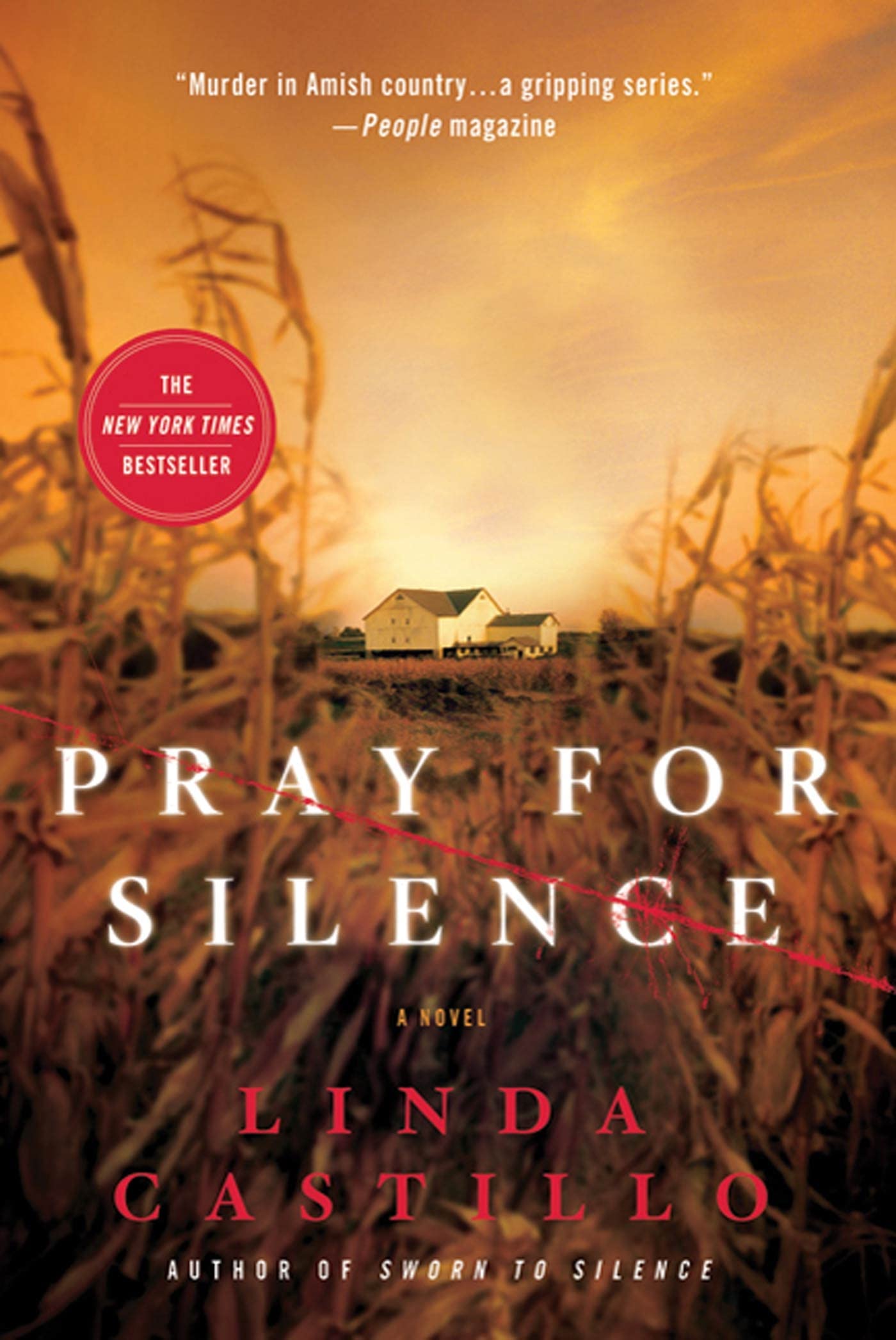 Pray for Silence: A Kate Burkholder Novel Detective & CSI