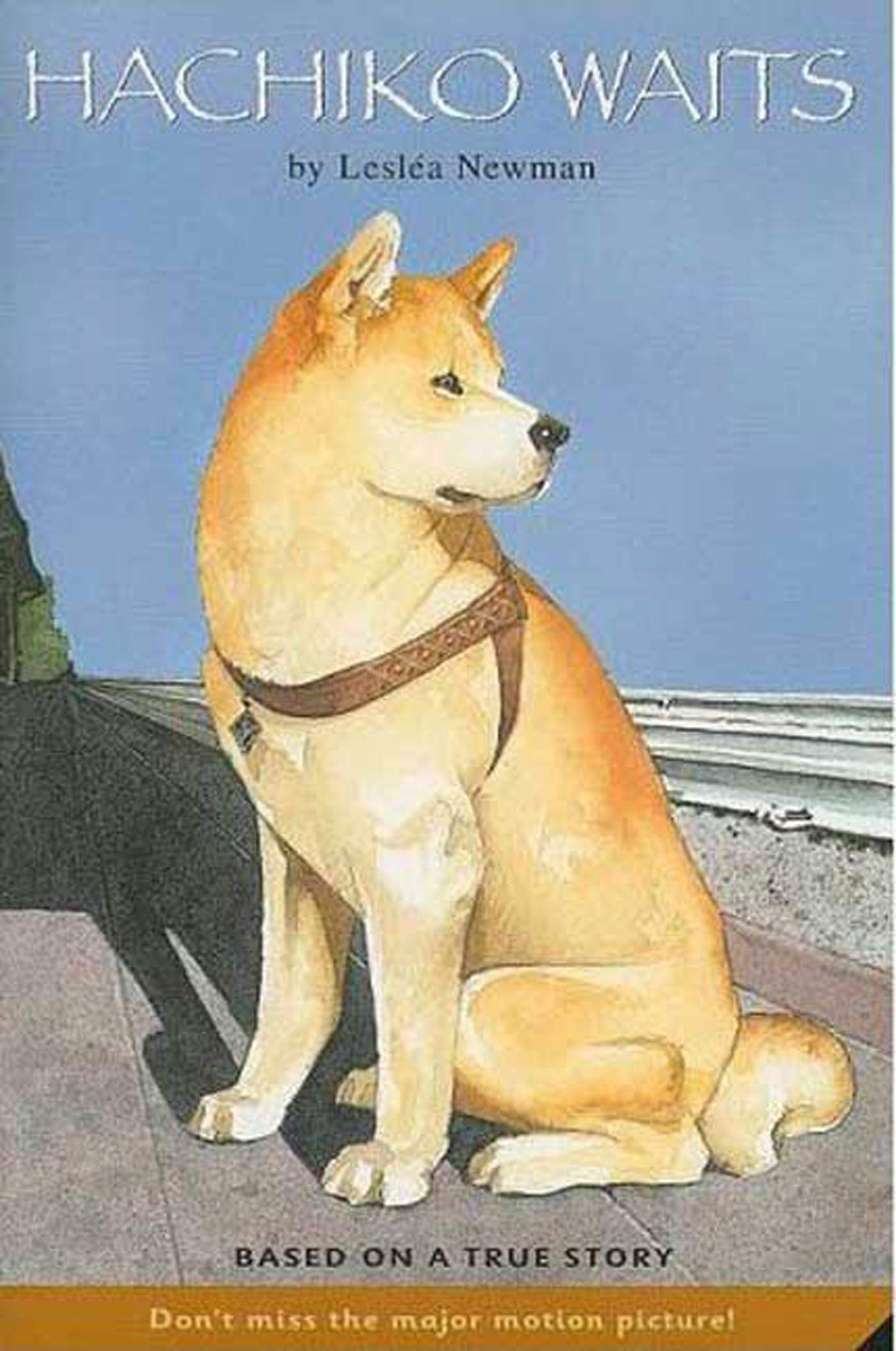 Hachiko Waits Non-fiction books for kids