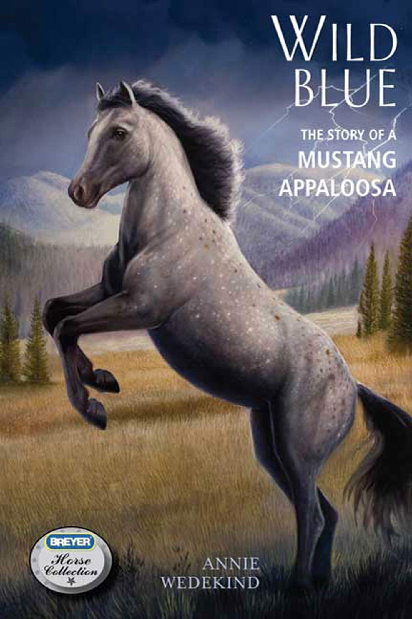 Wild Blue: The Story of a Mustang Appaloosa (Breyer Horse Portrait Collection, Band 1) Novels & Short Stories