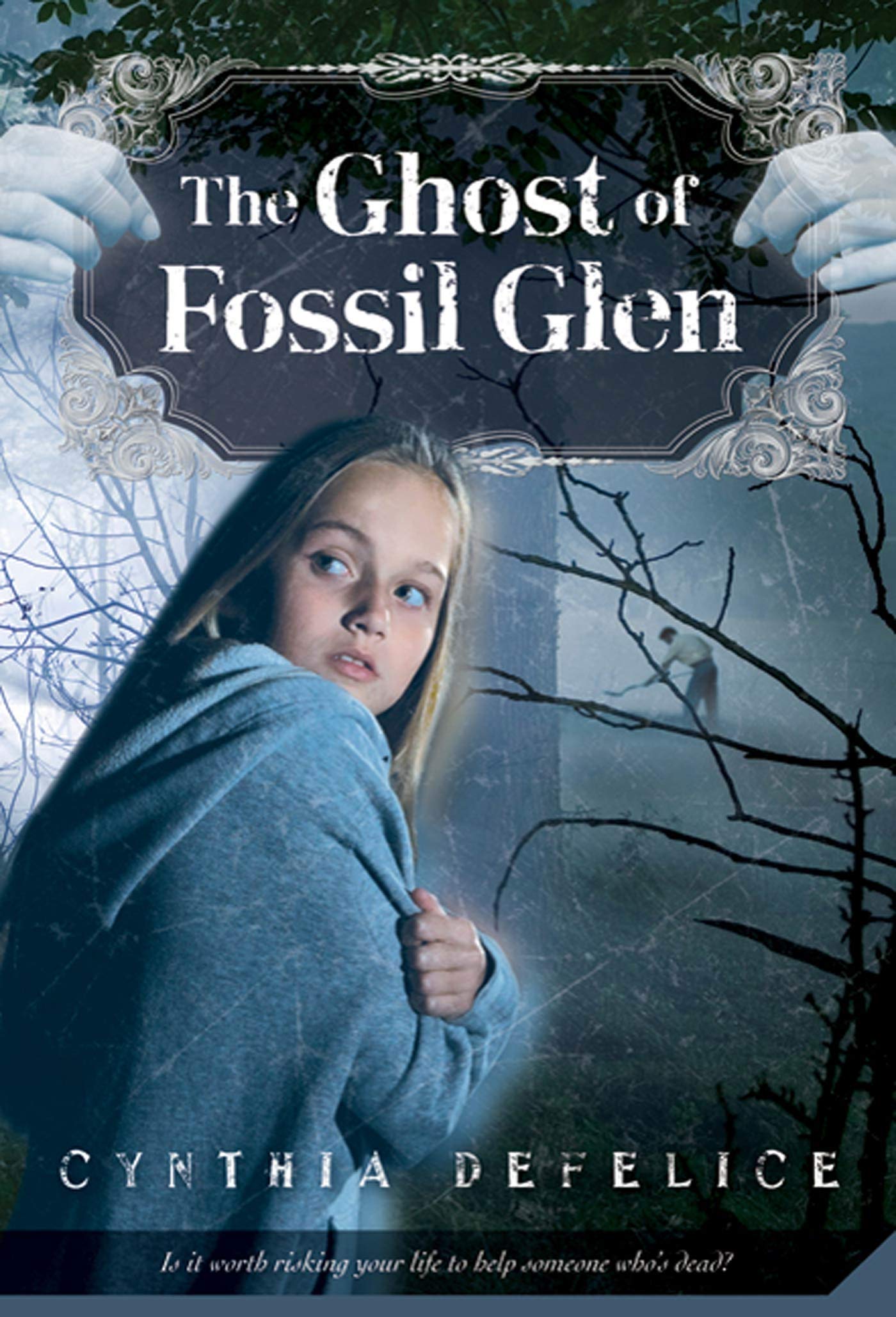 The Ghost of Fossil Glen (Ghost Mysteries) Non-fiction