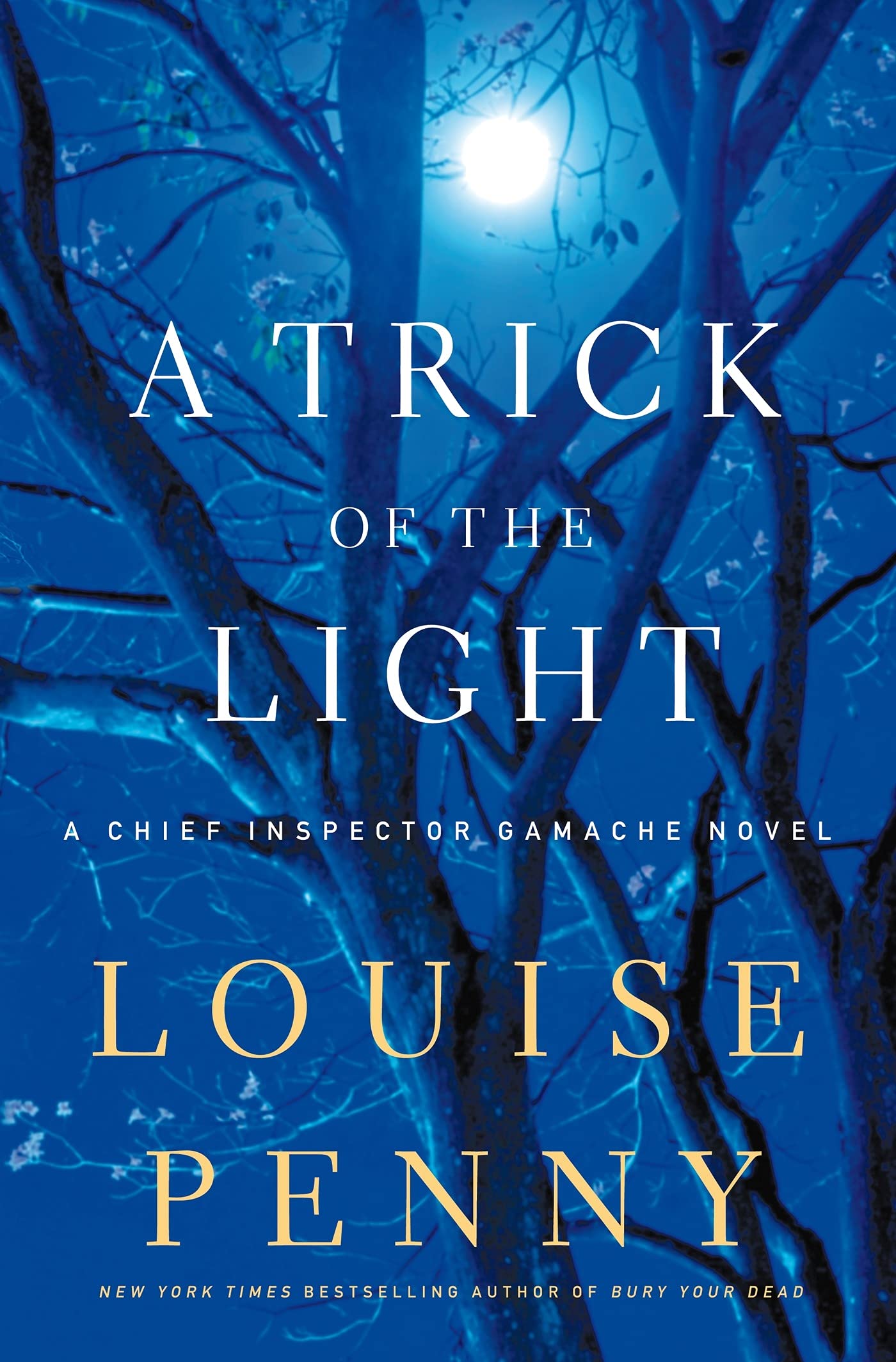 A Trick of the Light Detective & CSI
